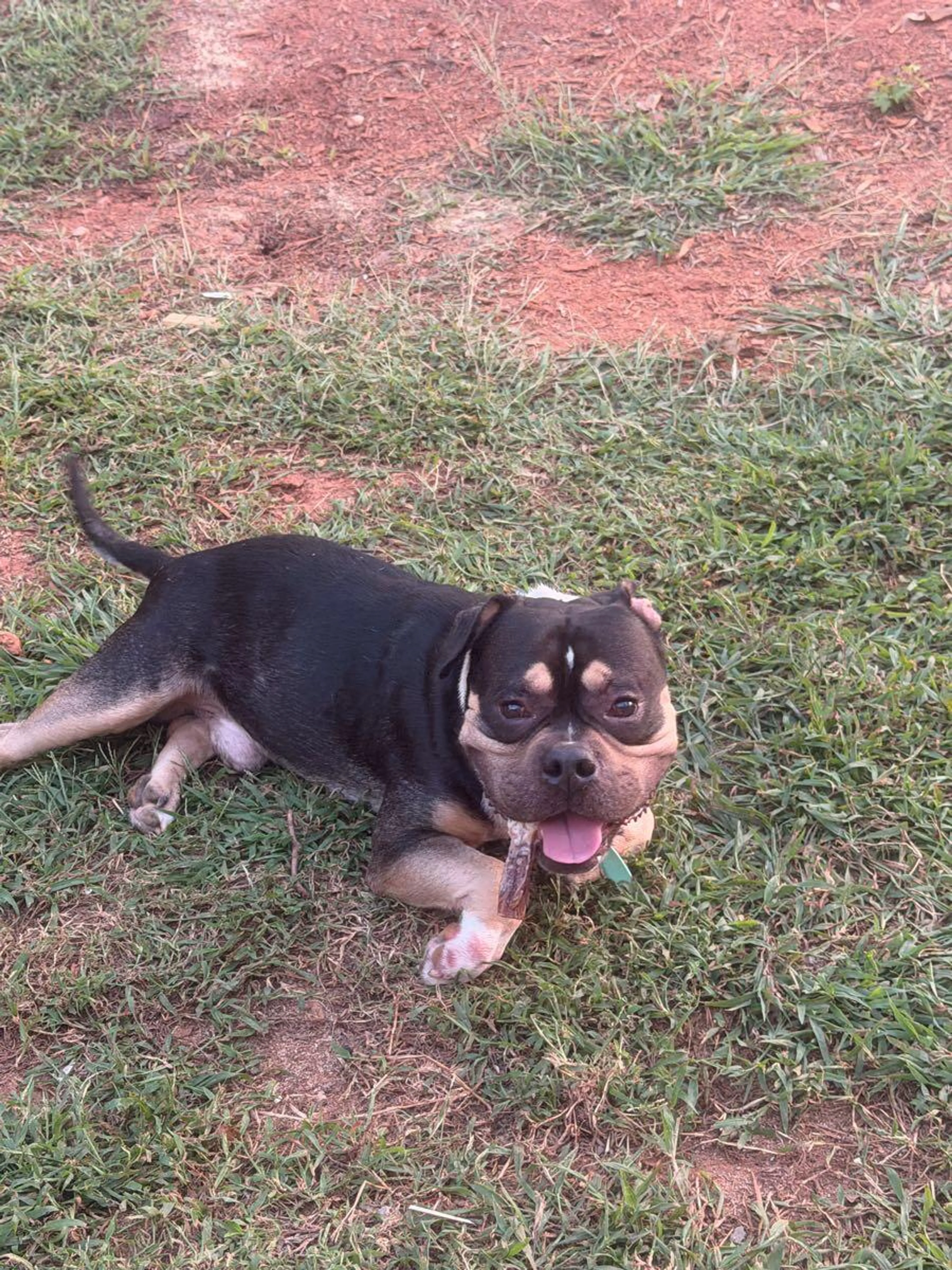 cdn image