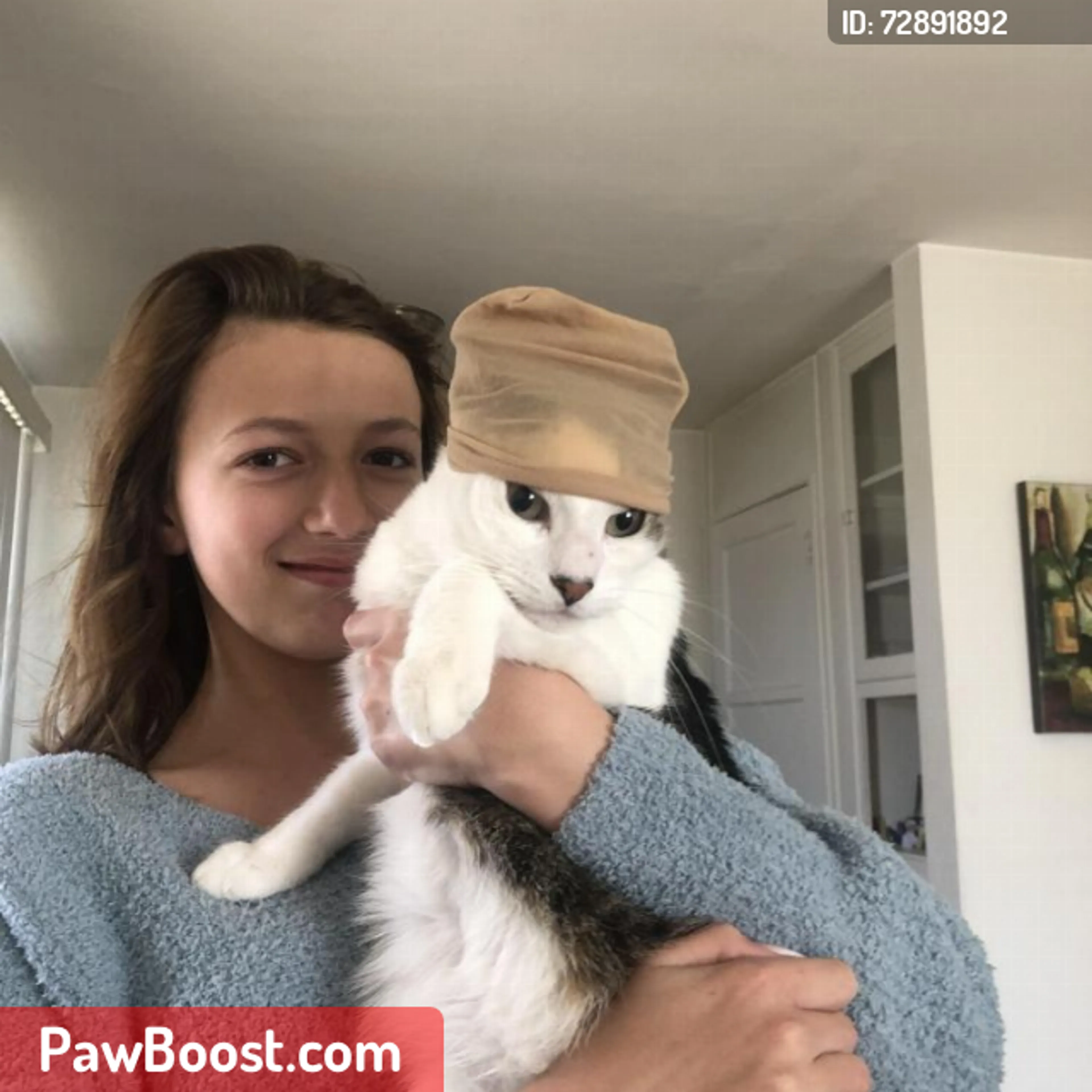 Lost pet