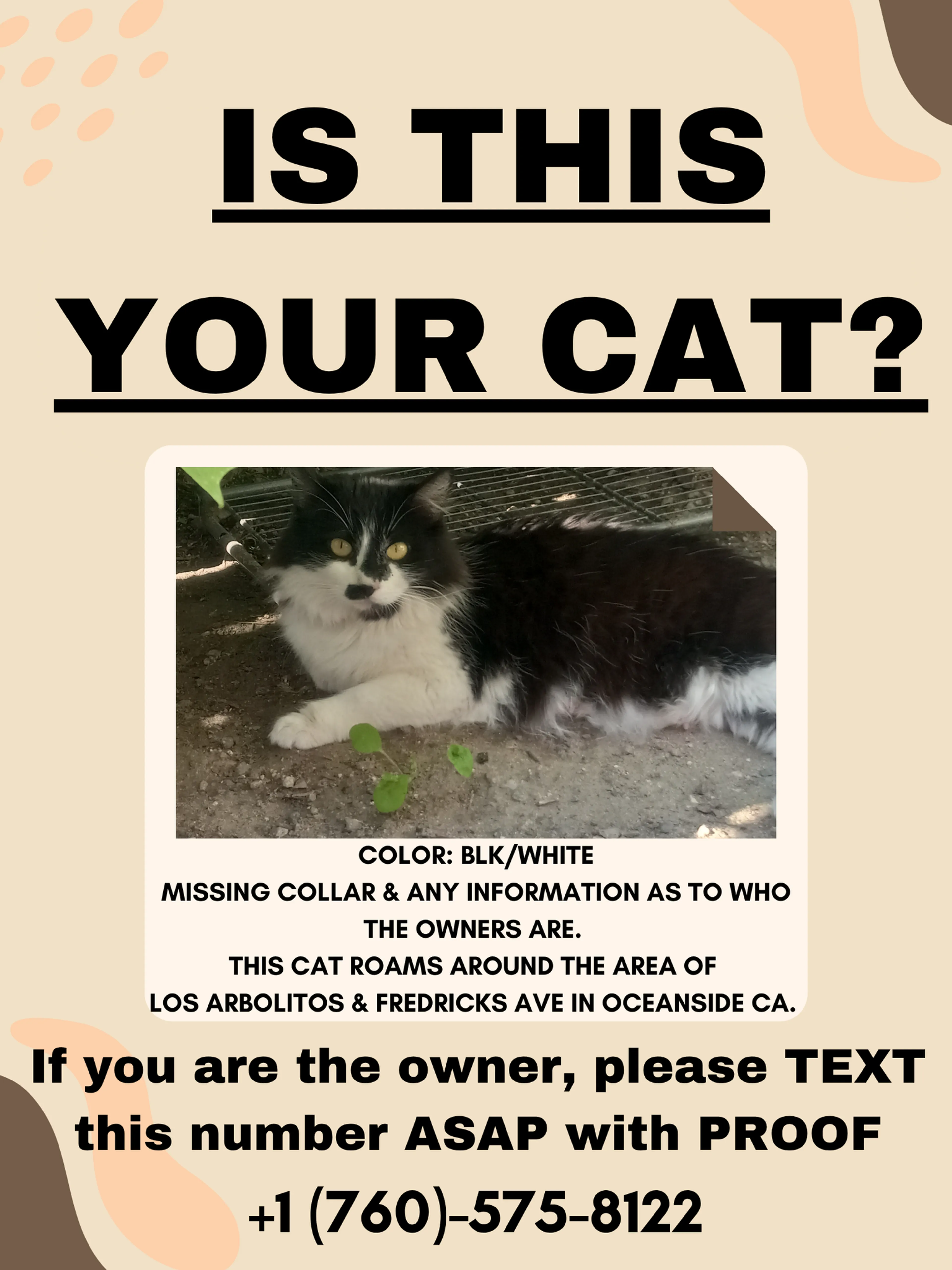 cdn image