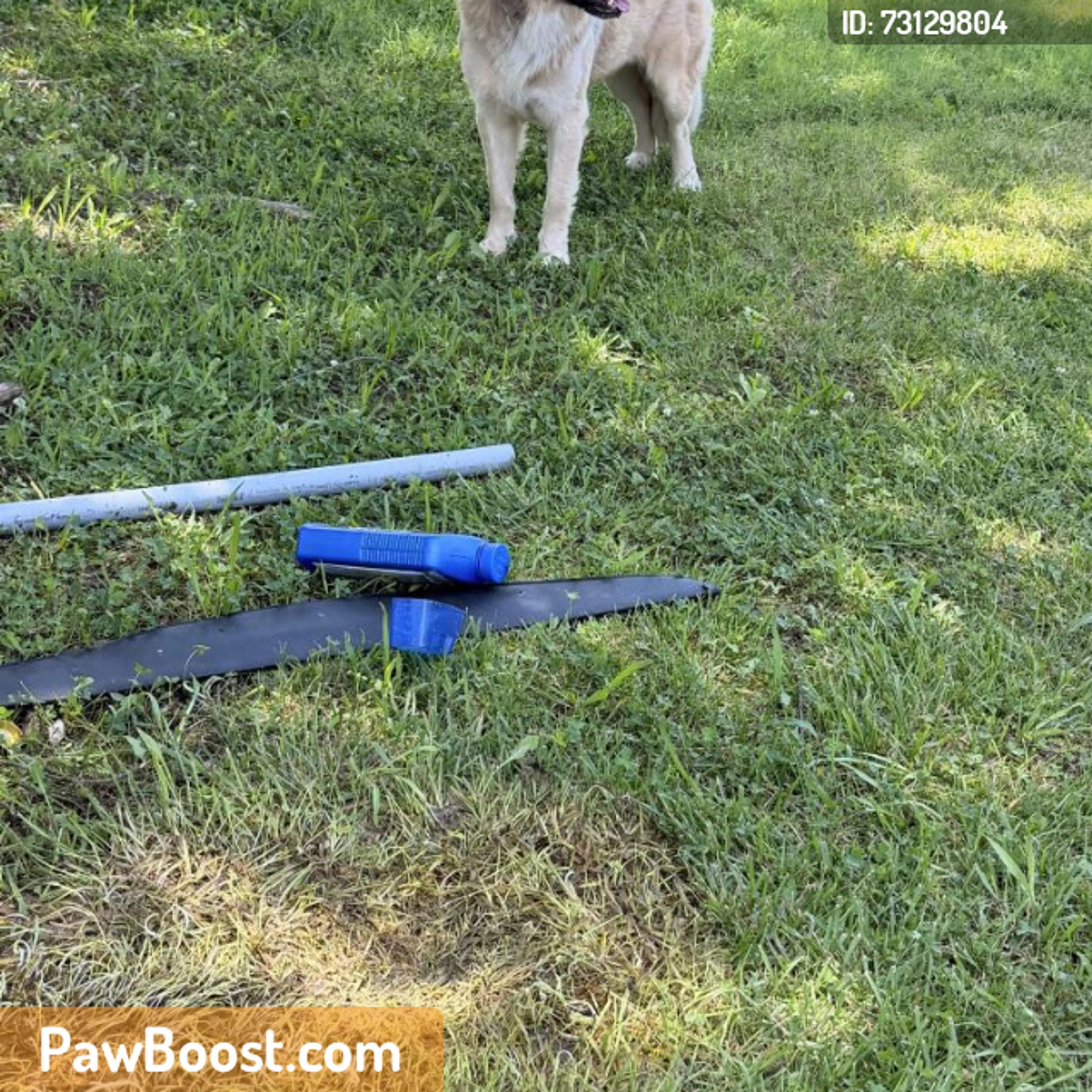cdn image