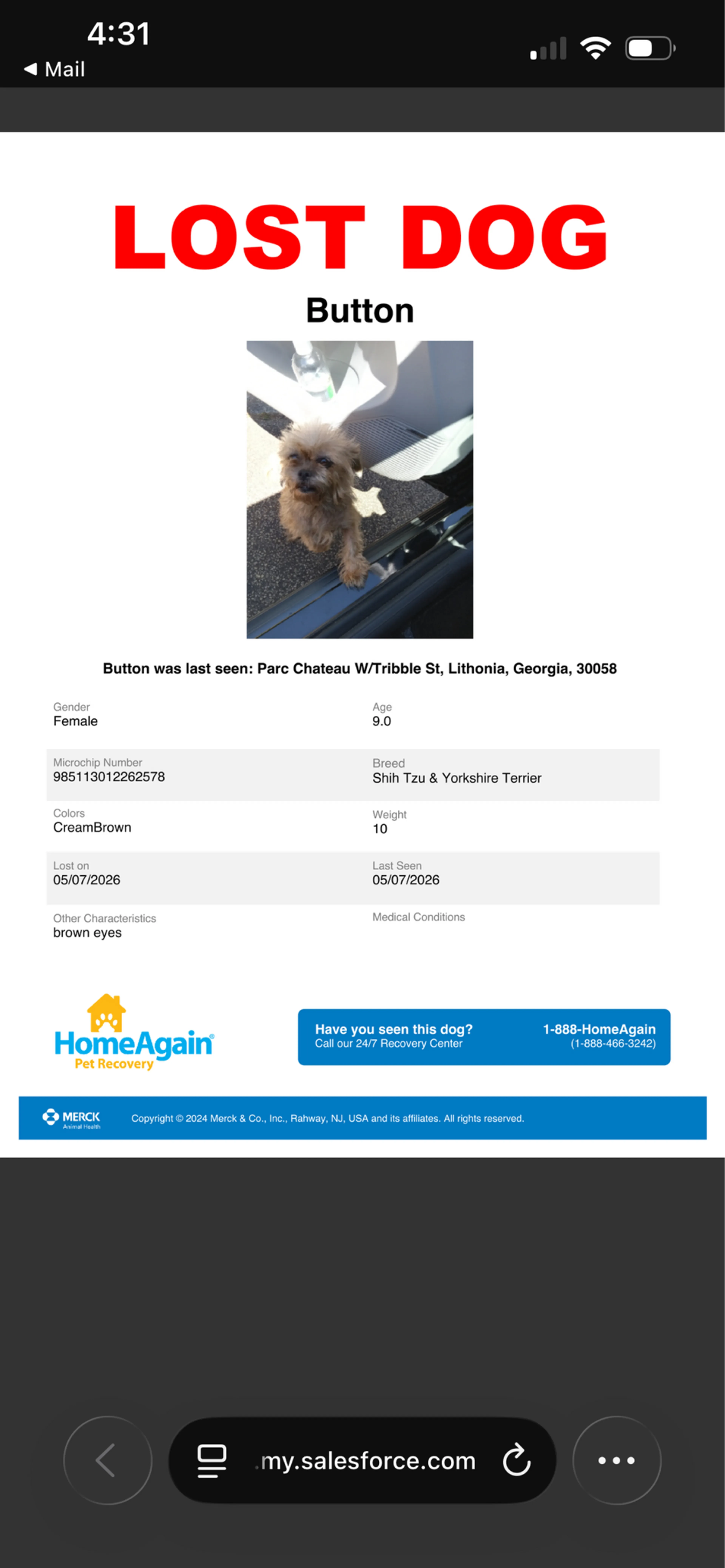 Found pet