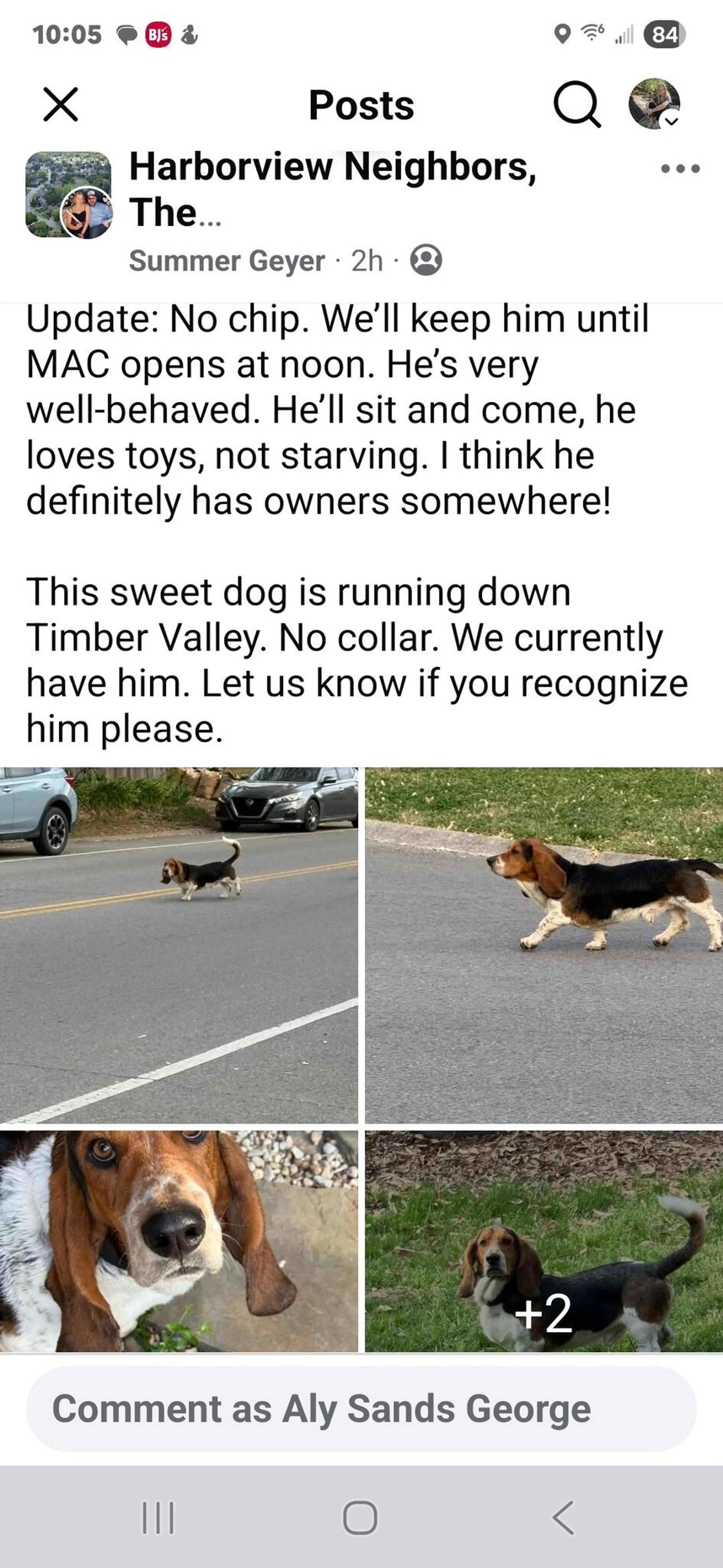 Found pet