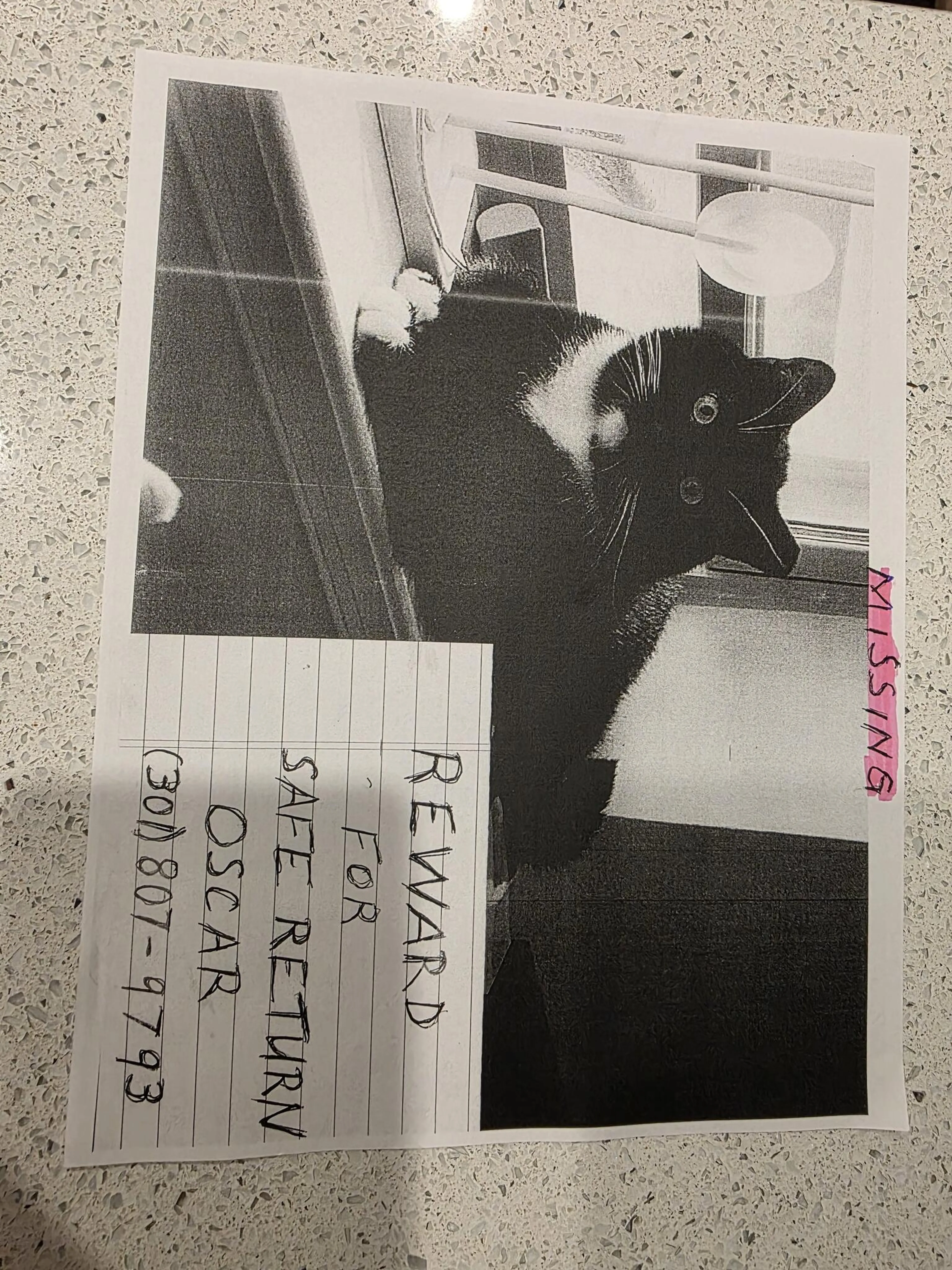 cdn image