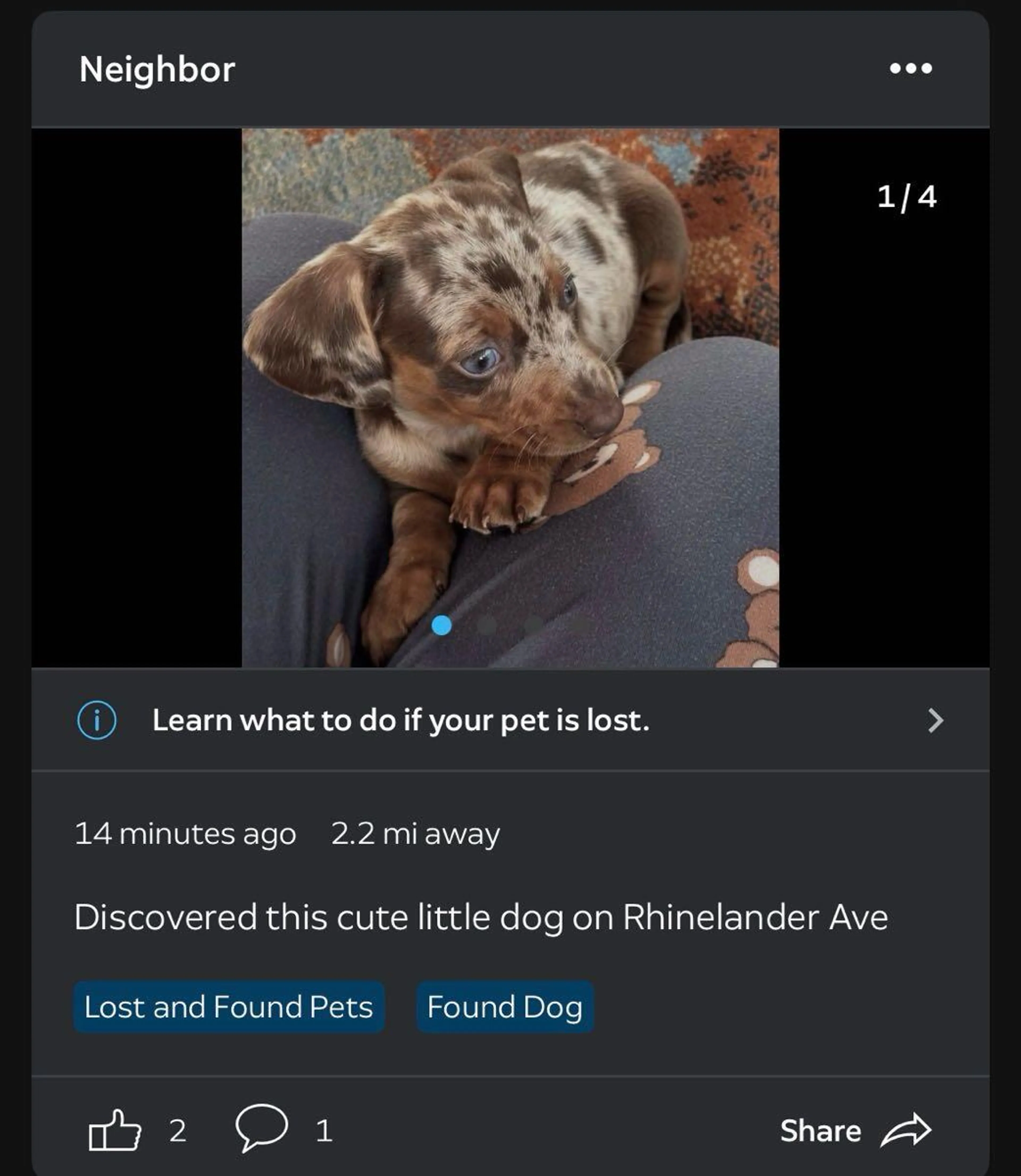 cdn image