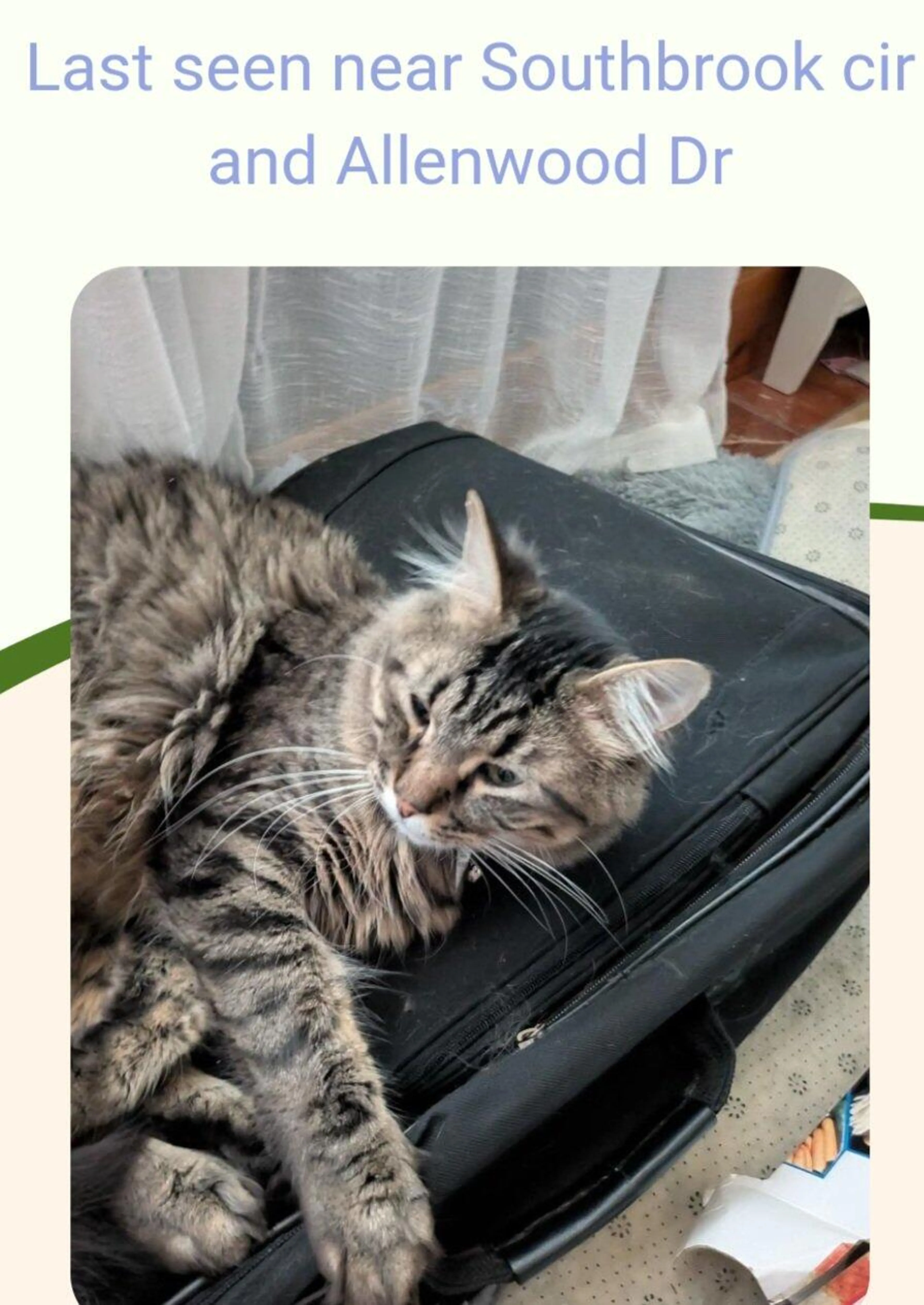 cdn image