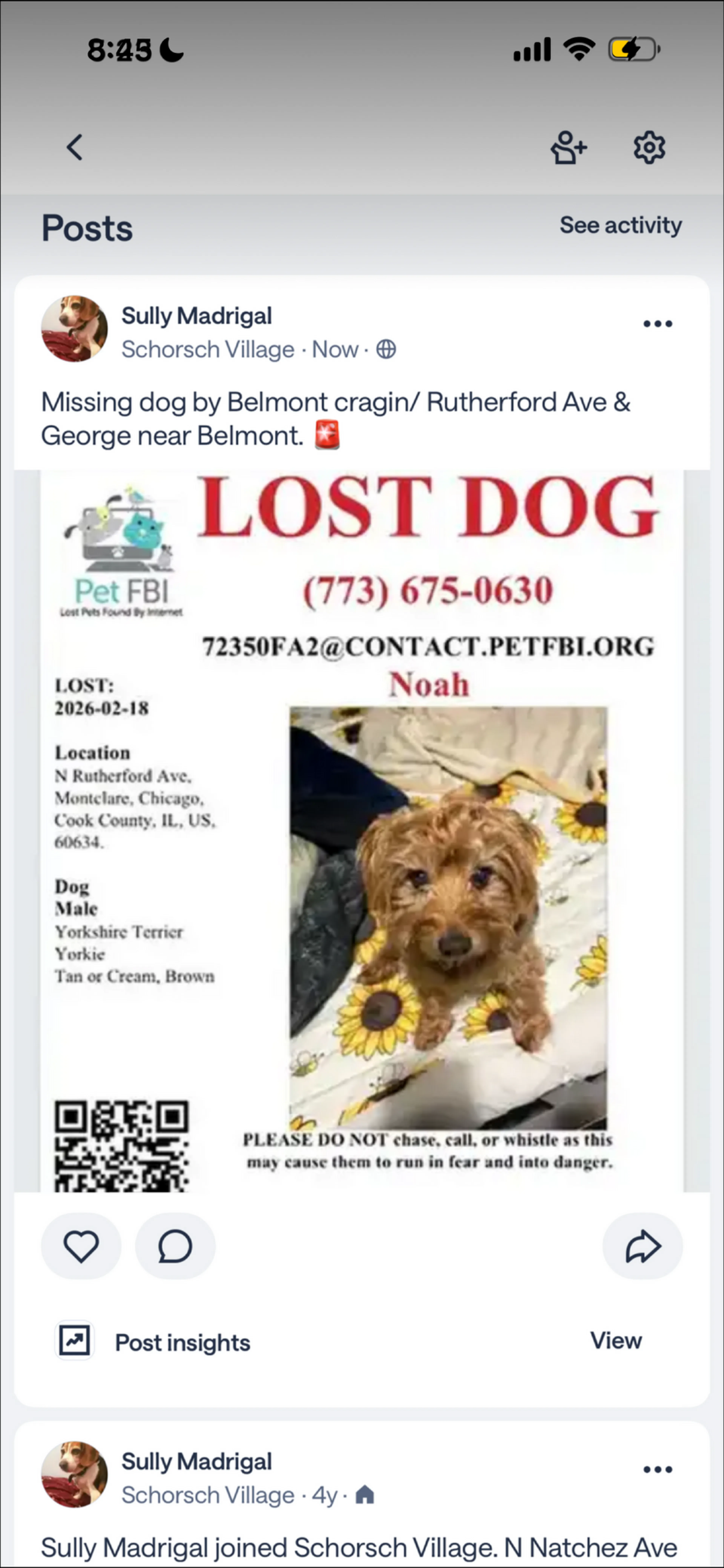 Lost pet
