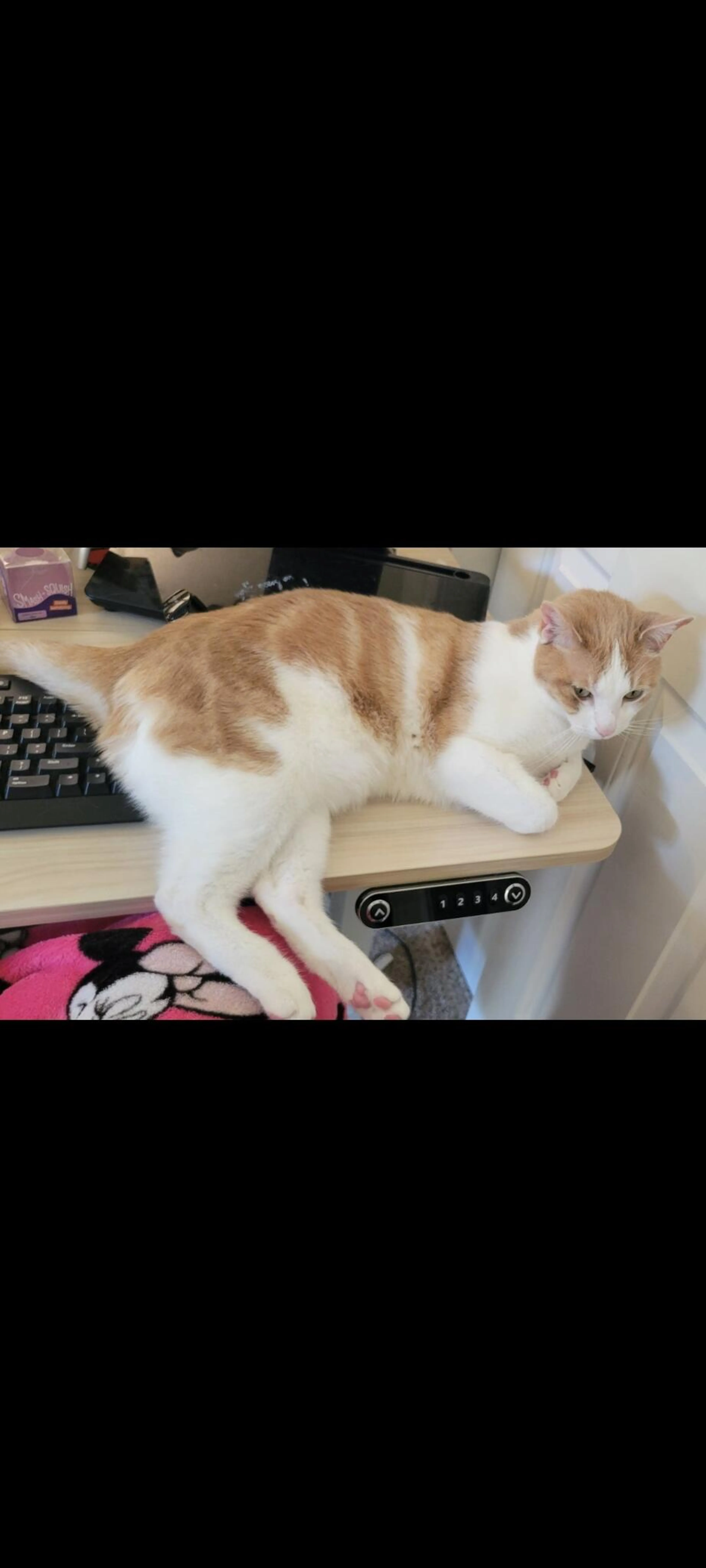 cdn image
