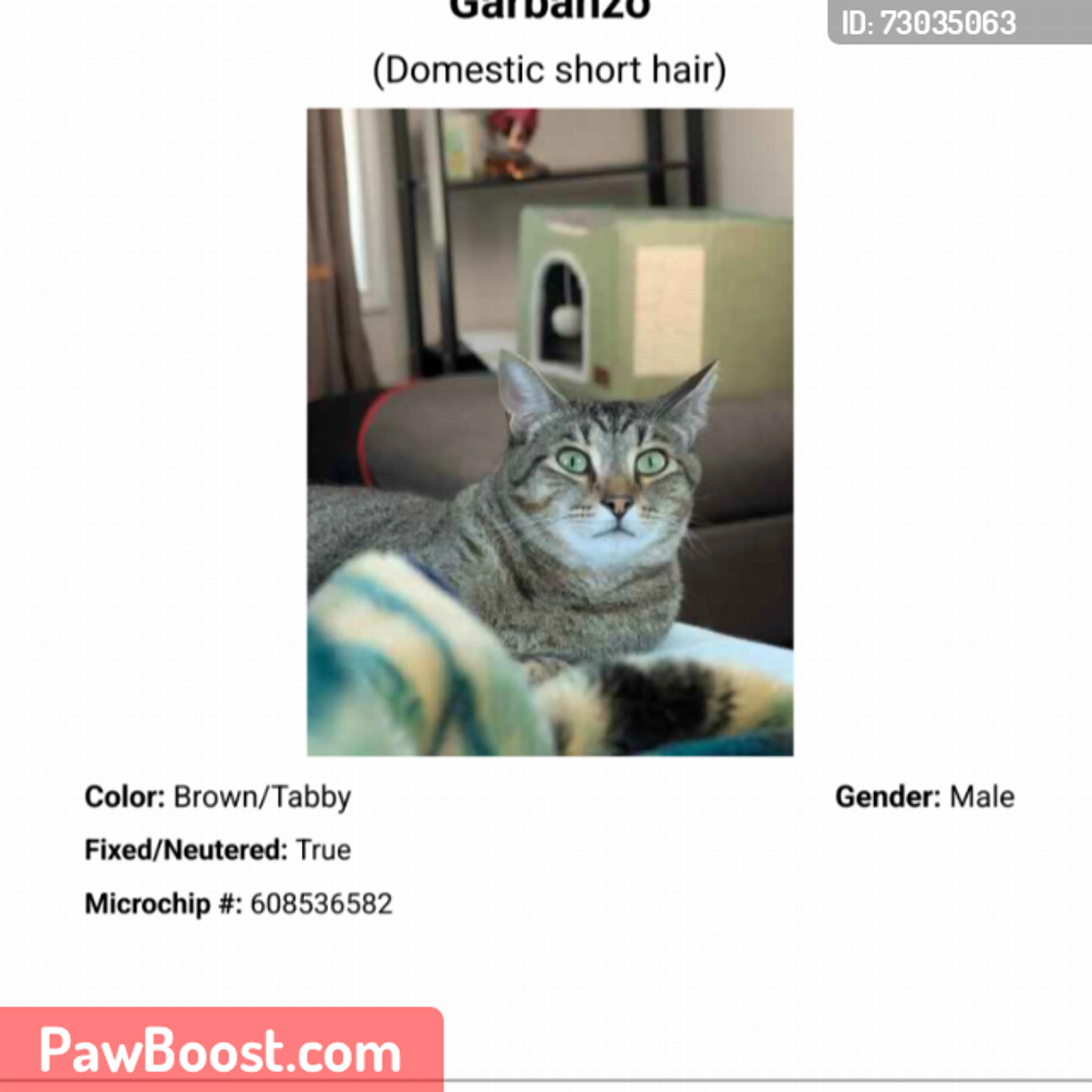 cdn image