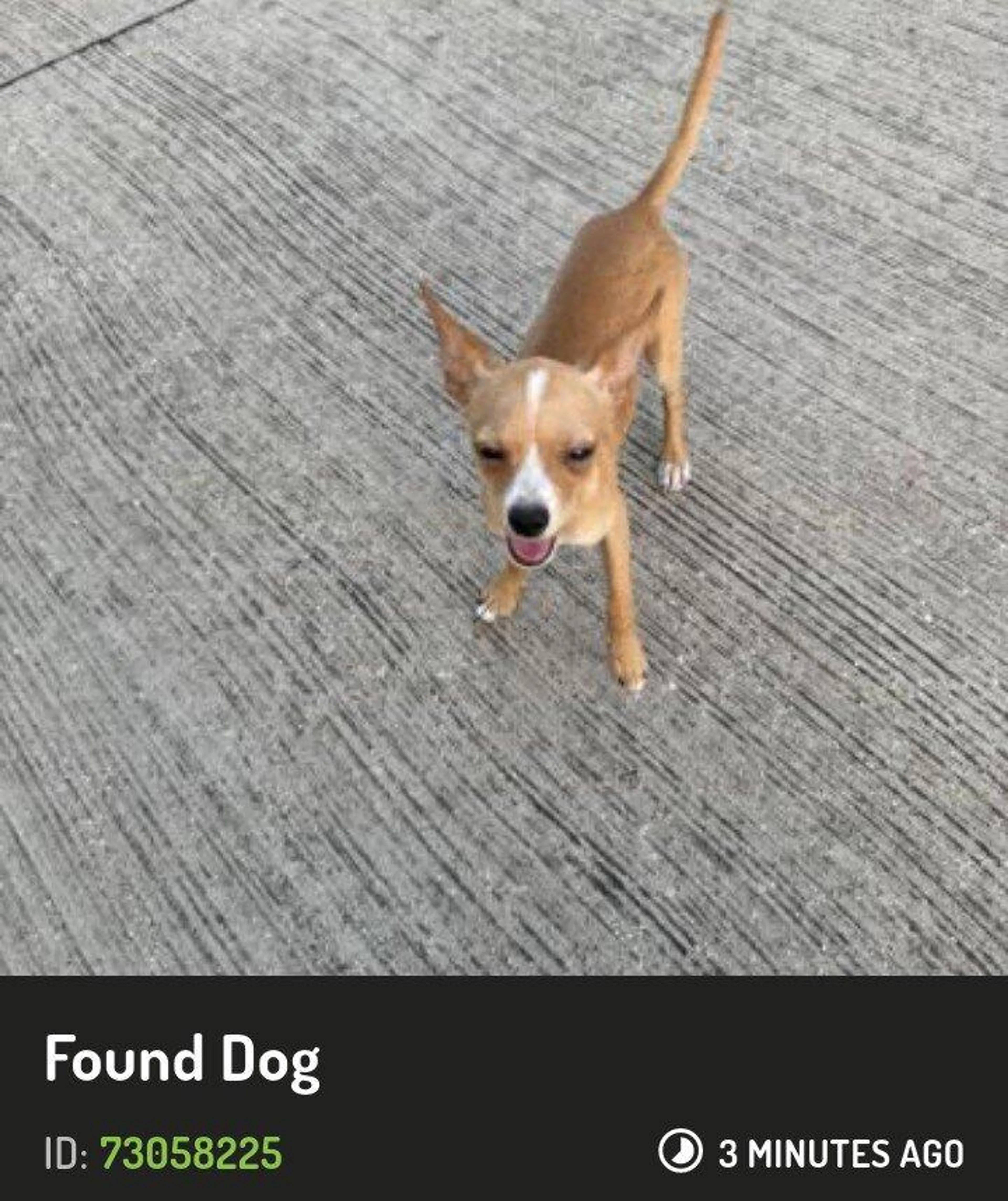 cdn image