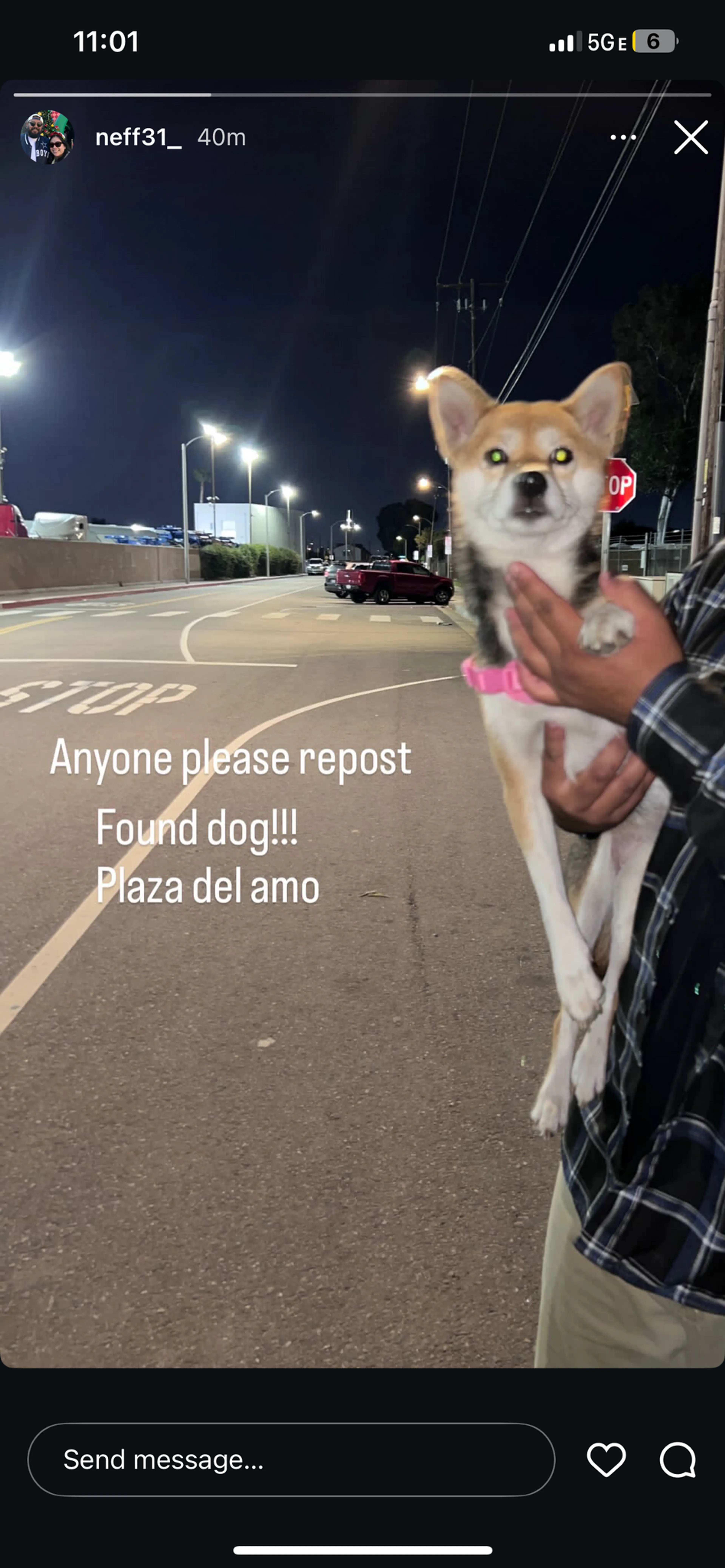 Found pet
