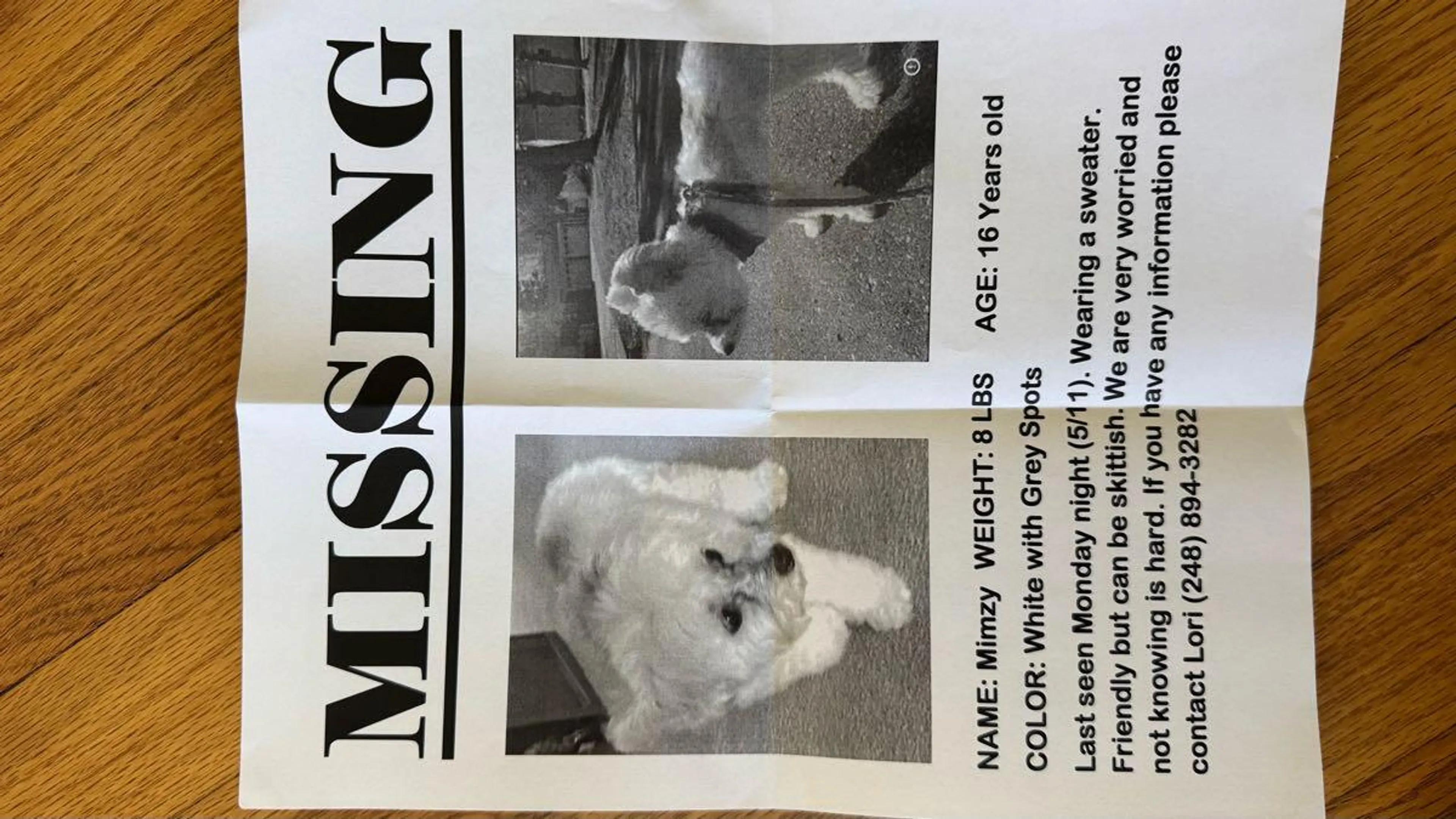 Lost pet