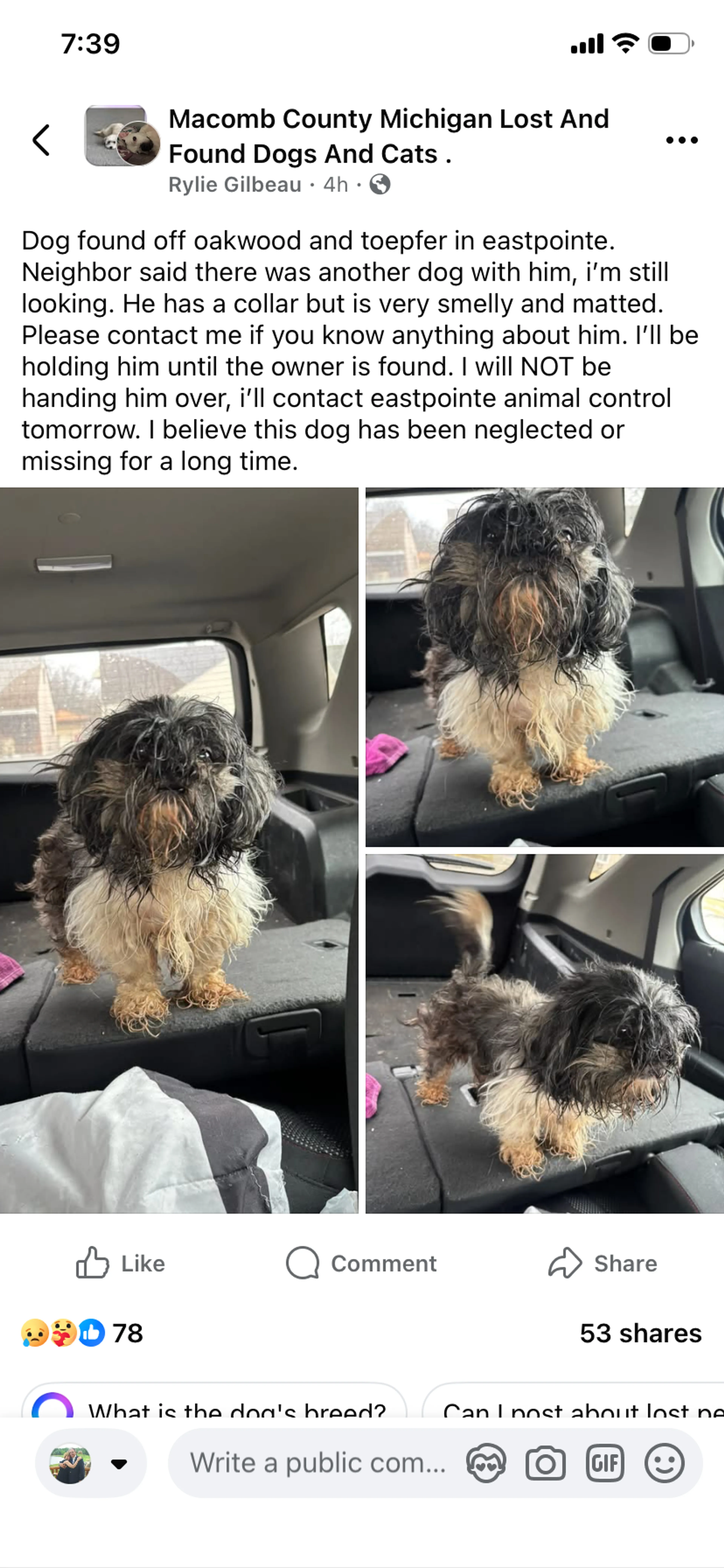 Found pet