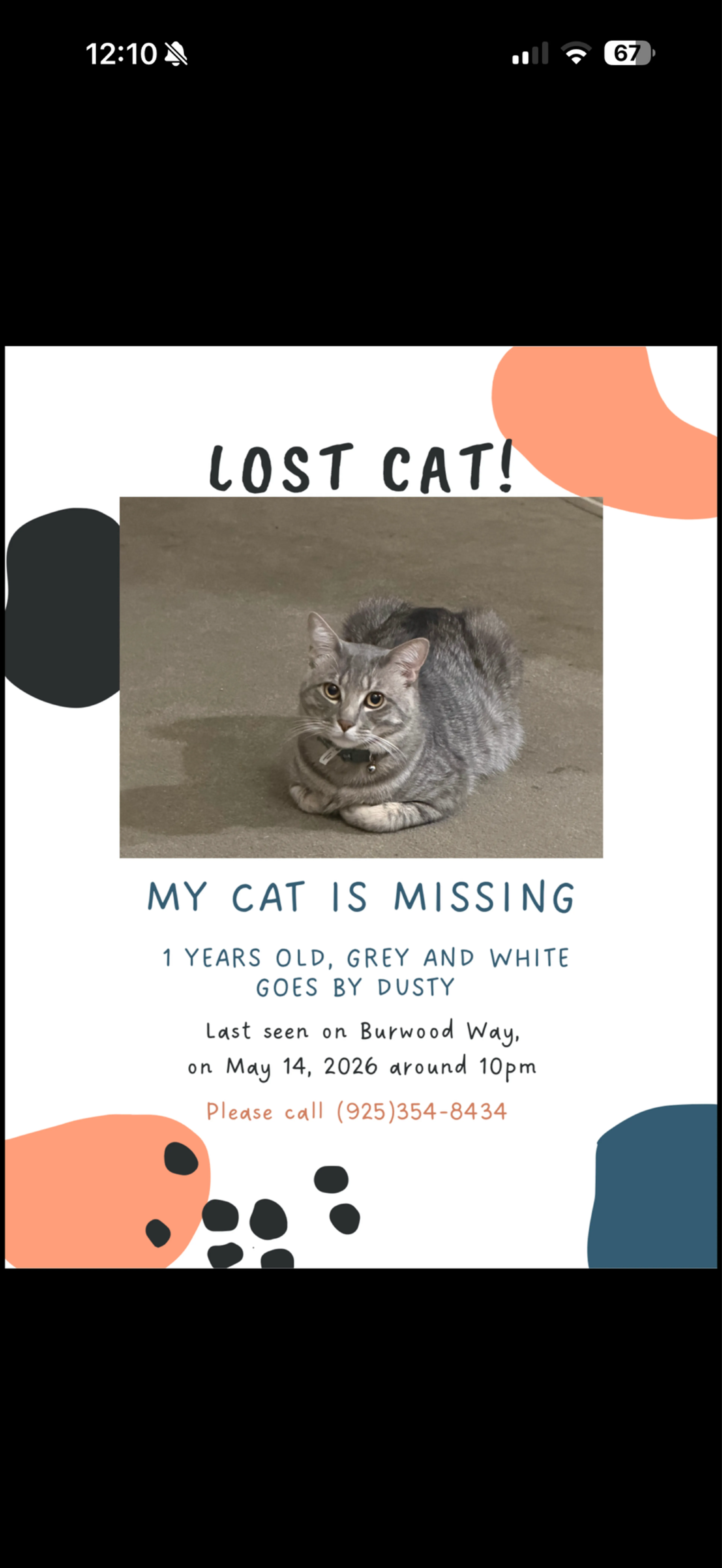 Lost pet