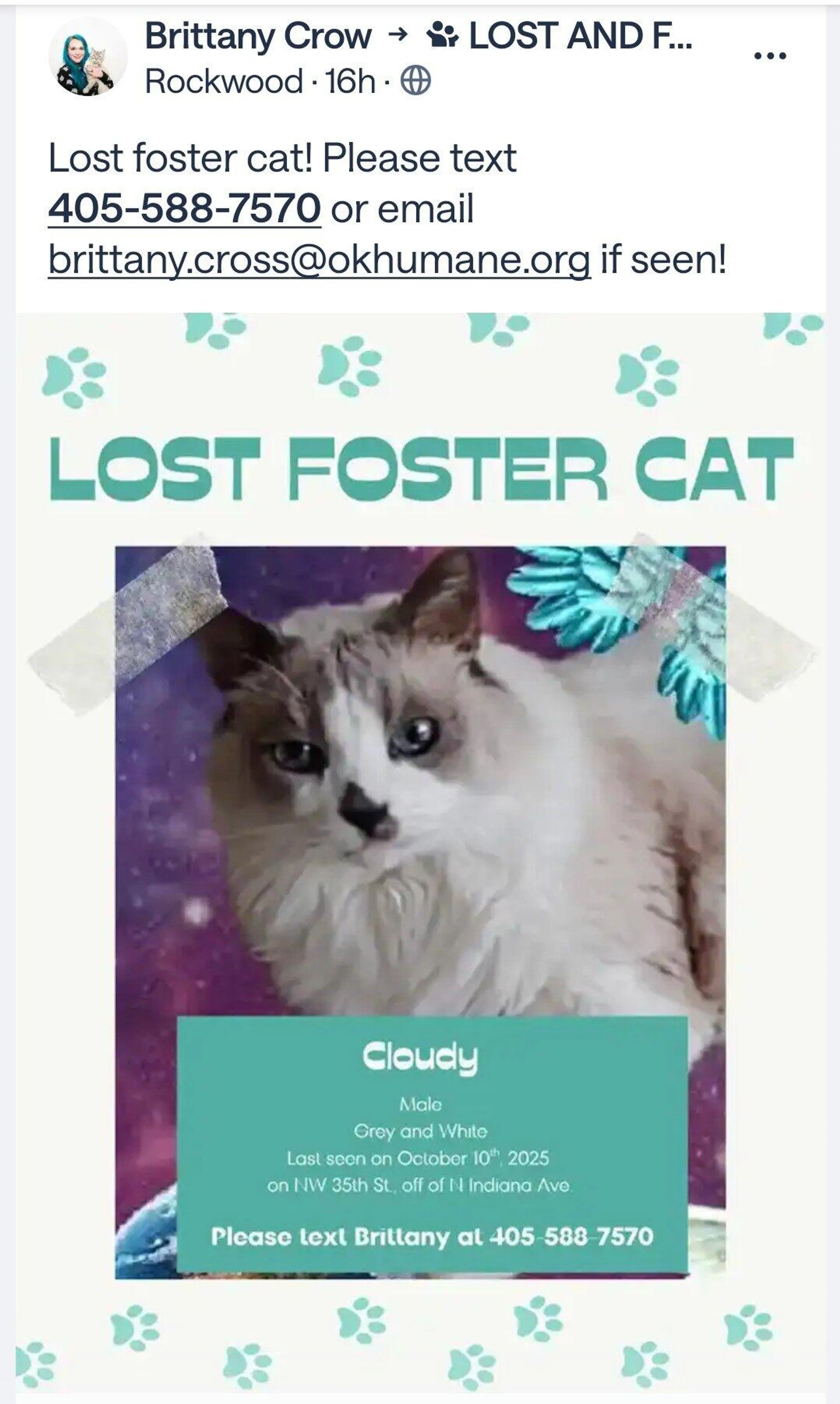Lost pet