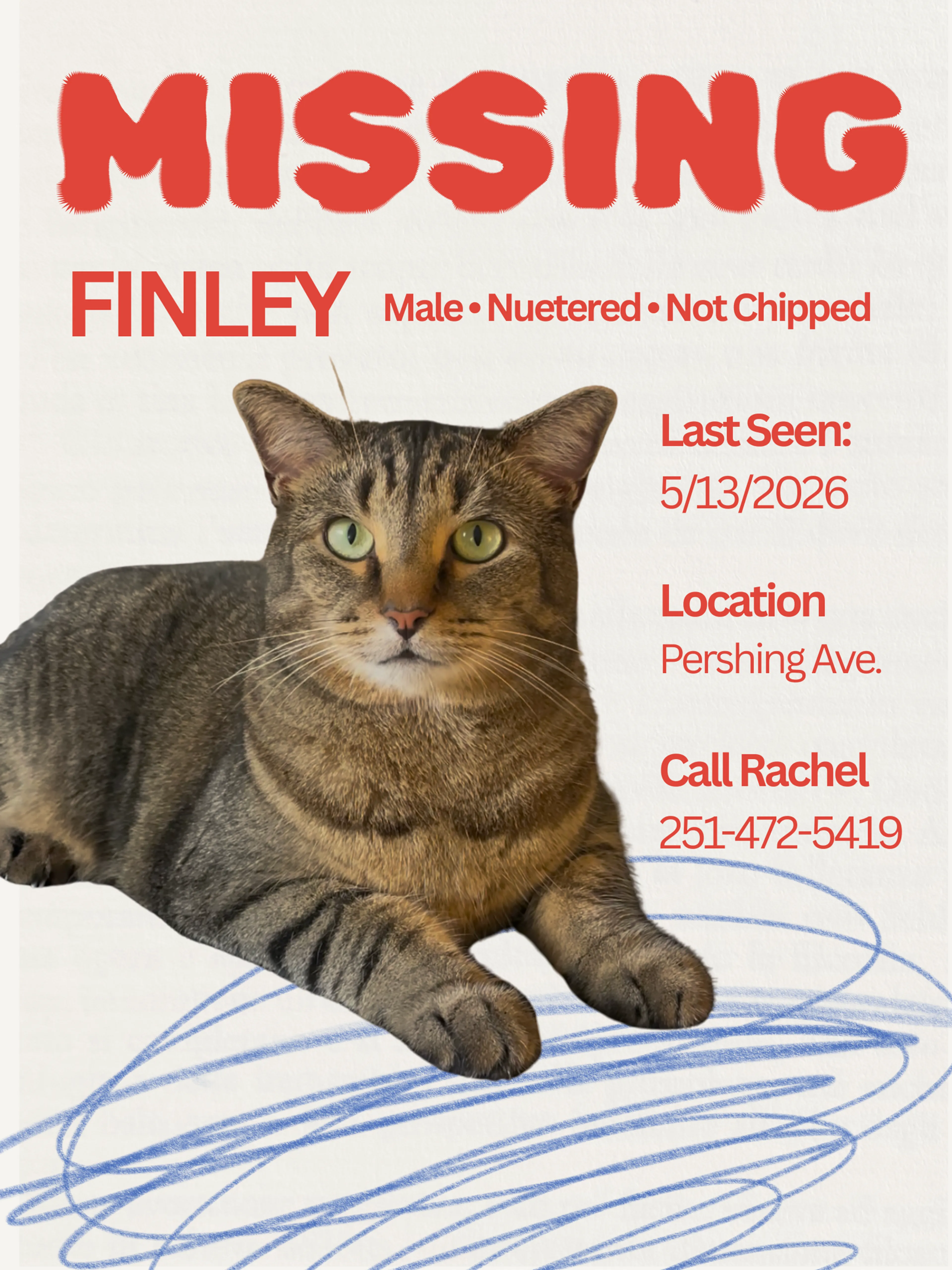 Lost pet
