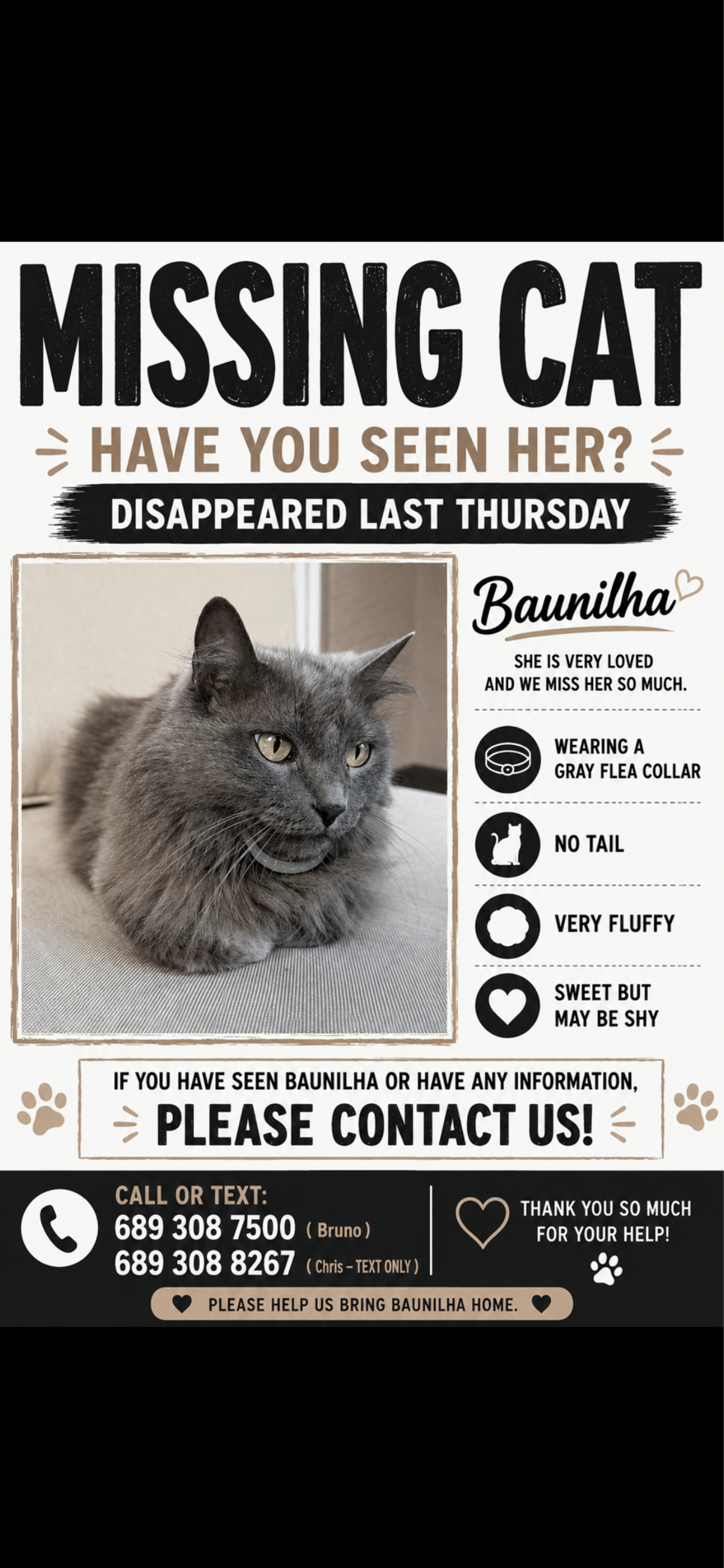 Lost pet