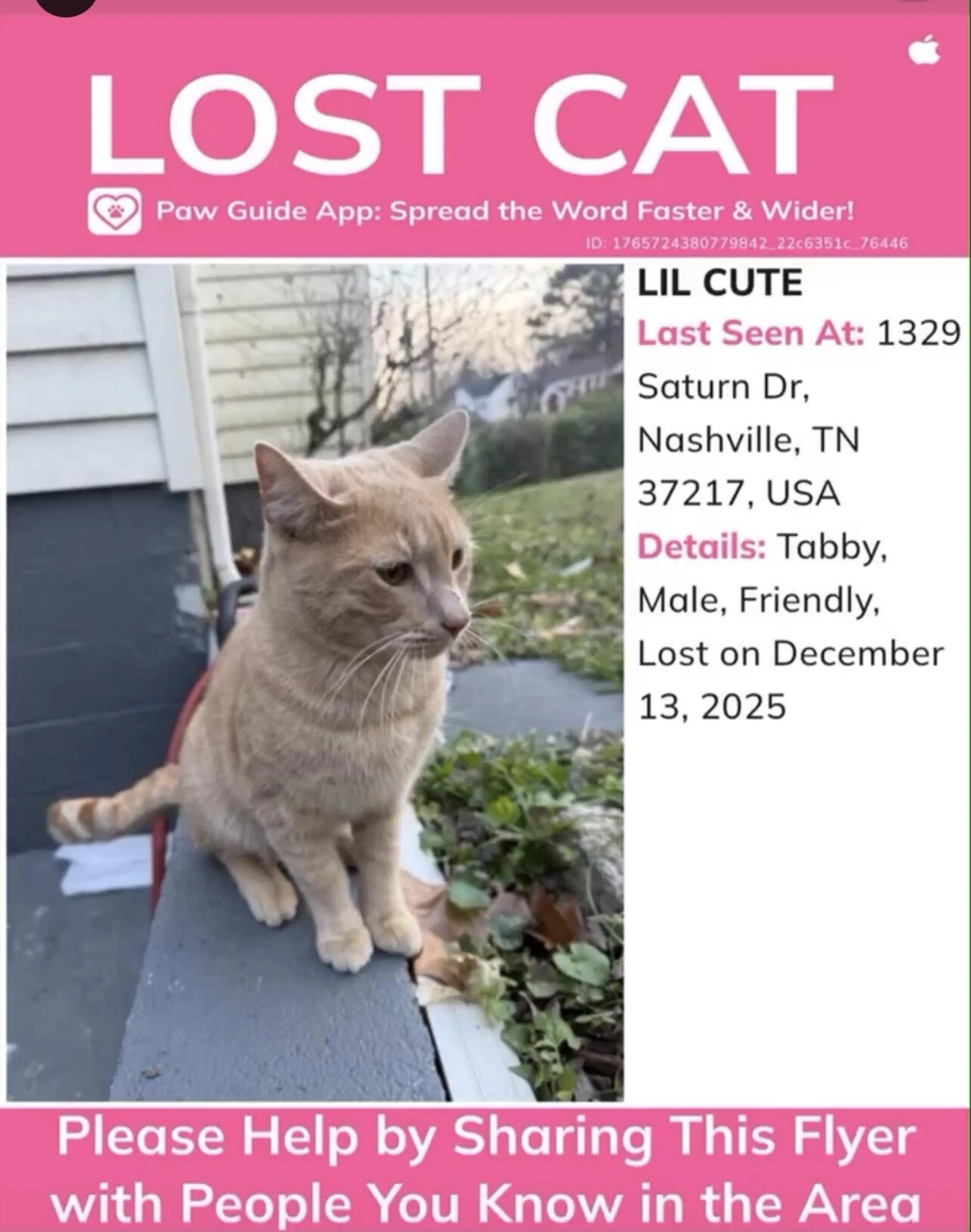 Lost pet