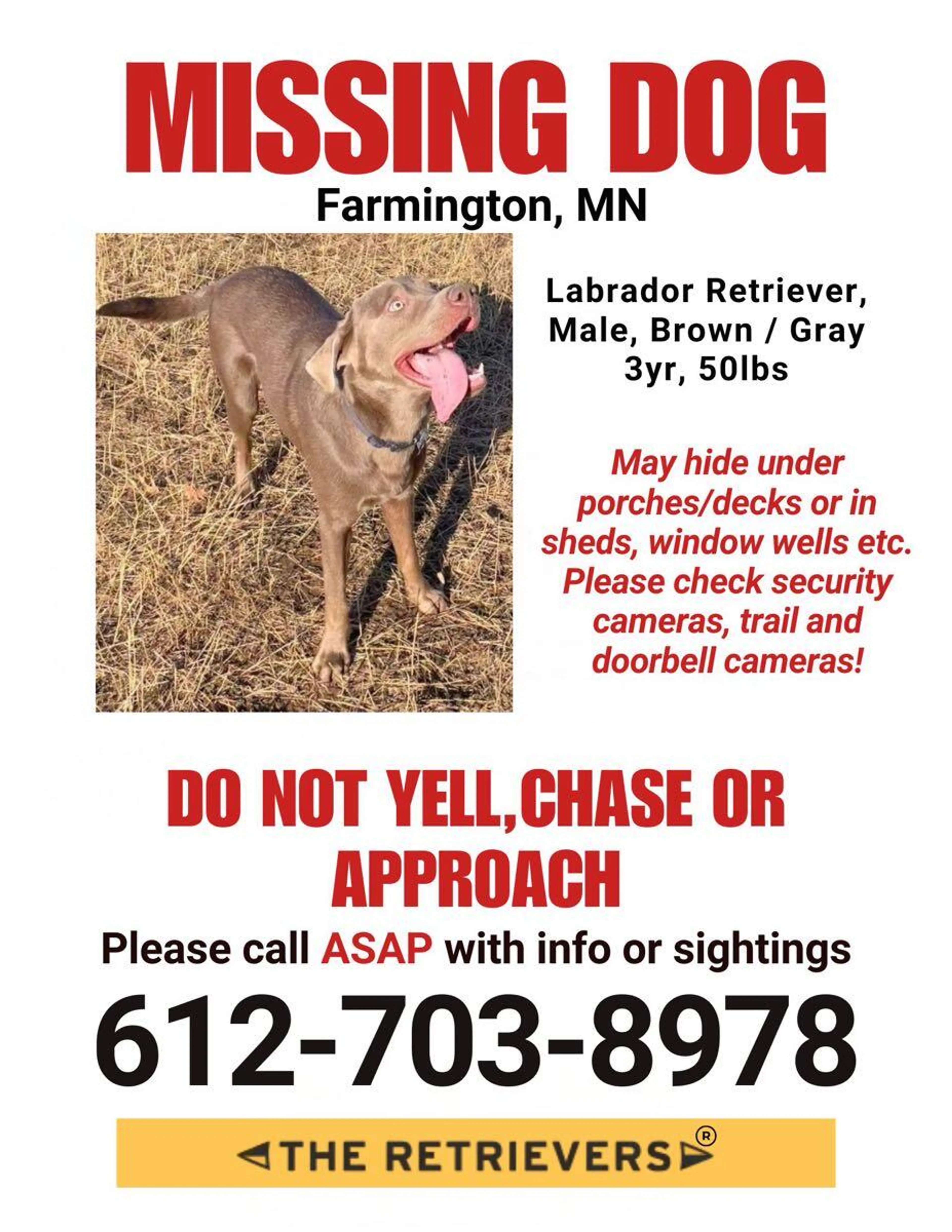 Lost pet