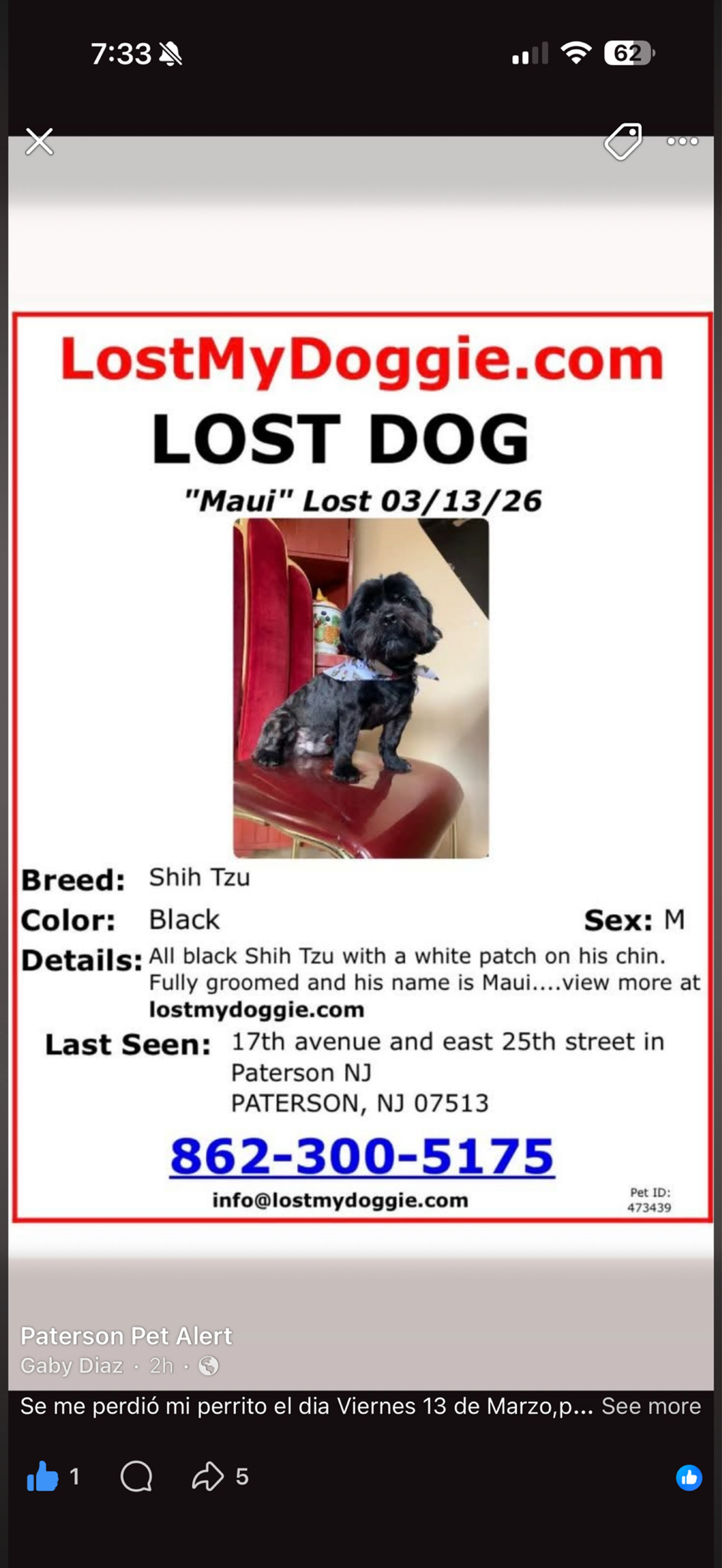 Lost pet