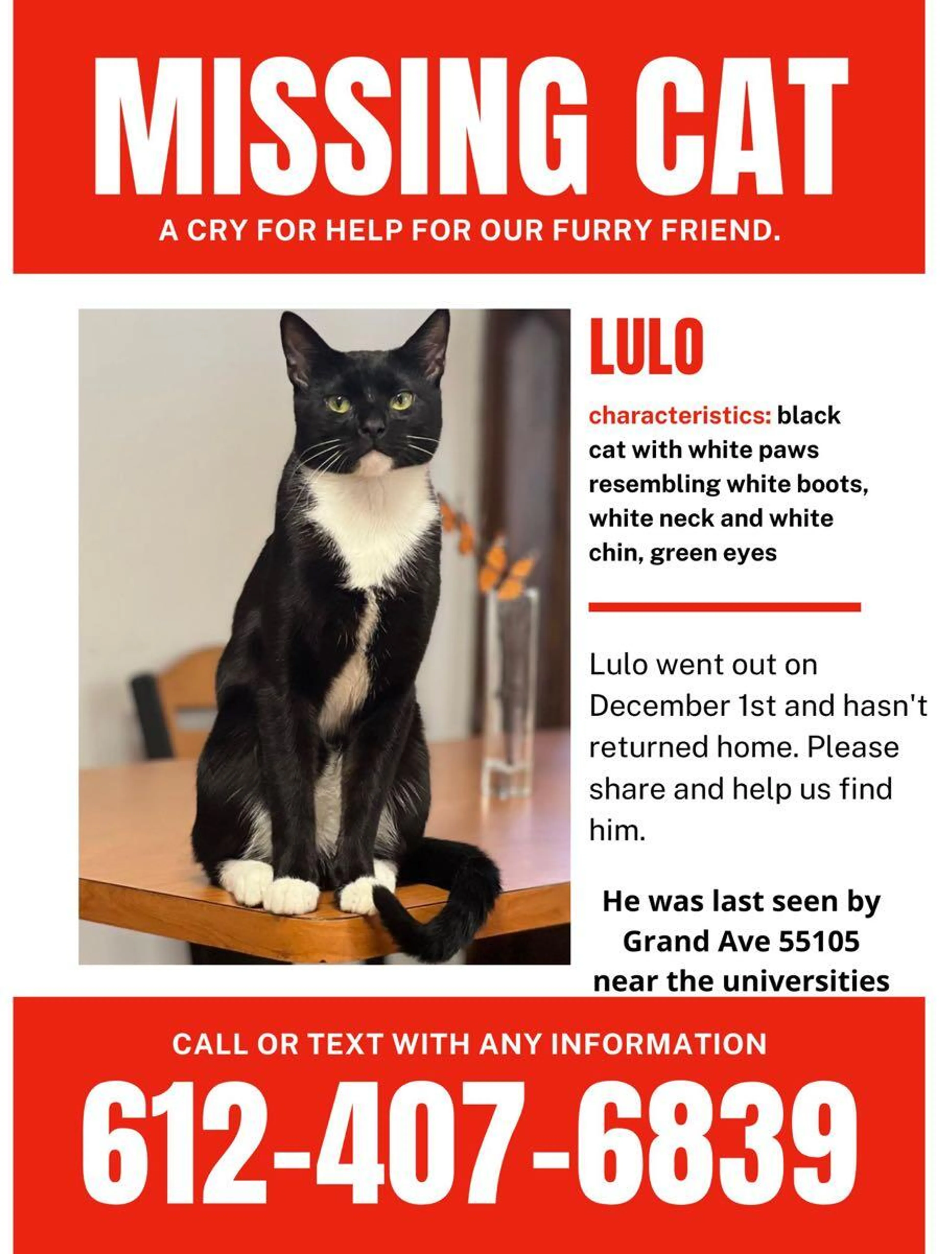 Lost pet