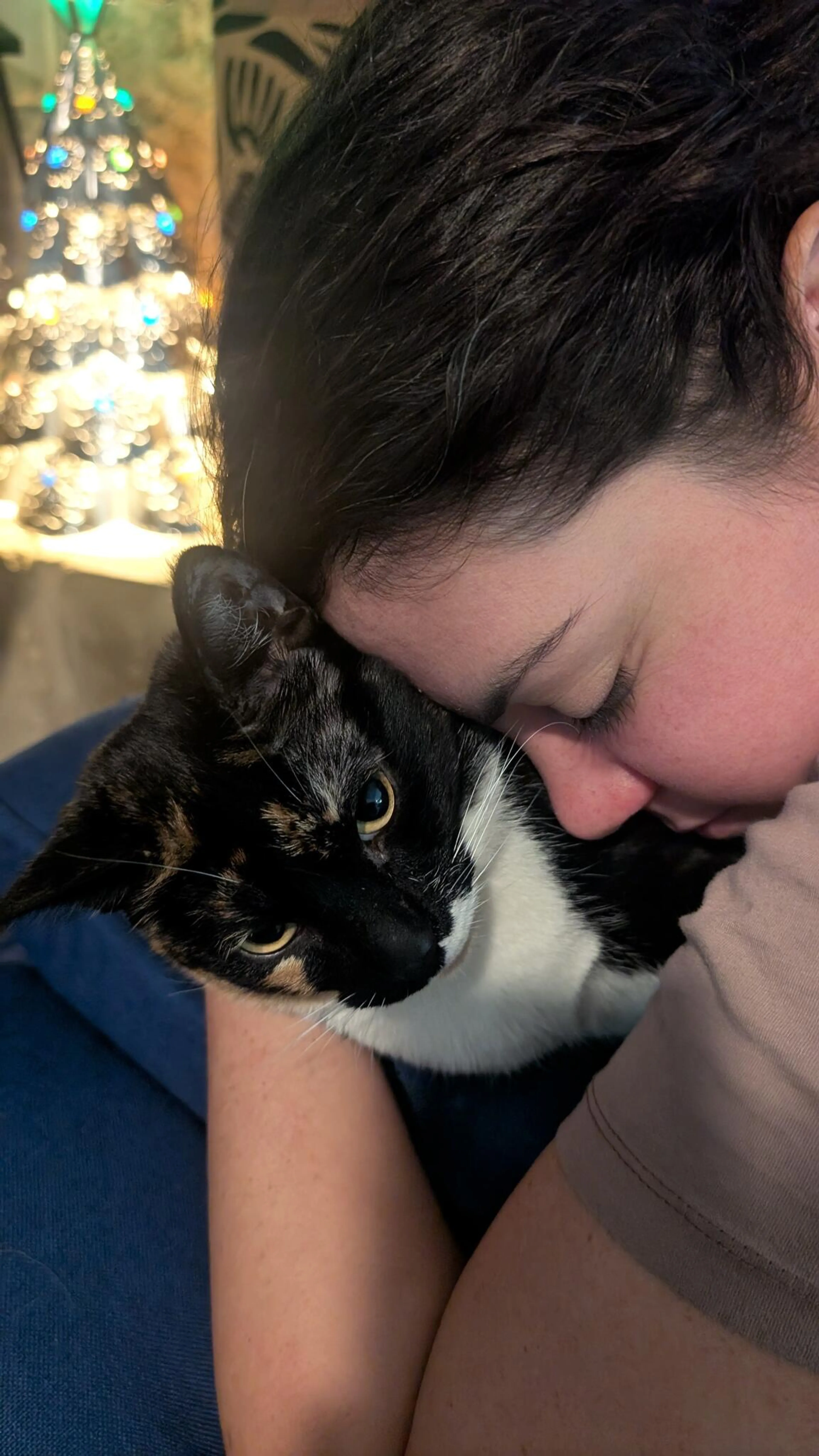 Lost pet