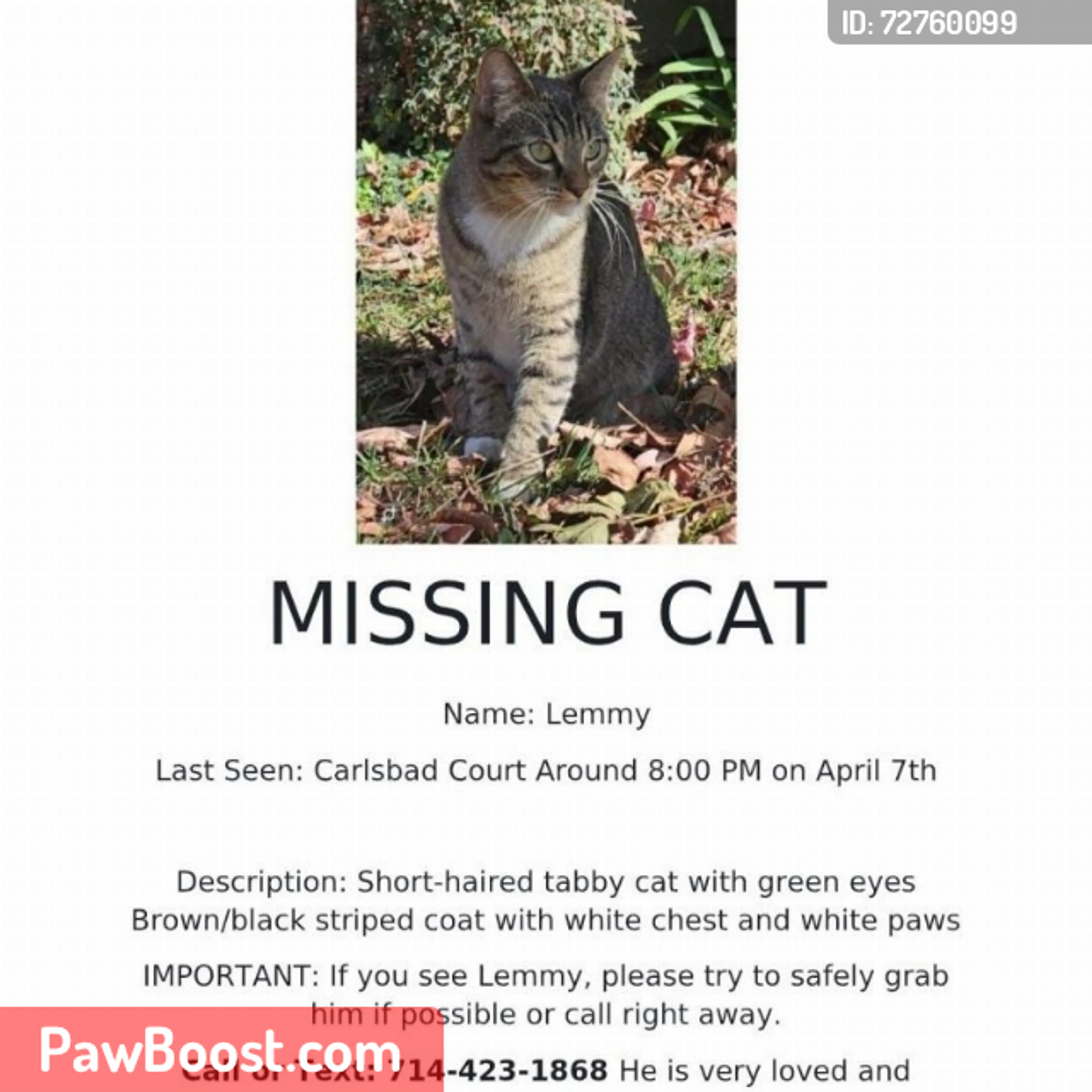 Lost pet