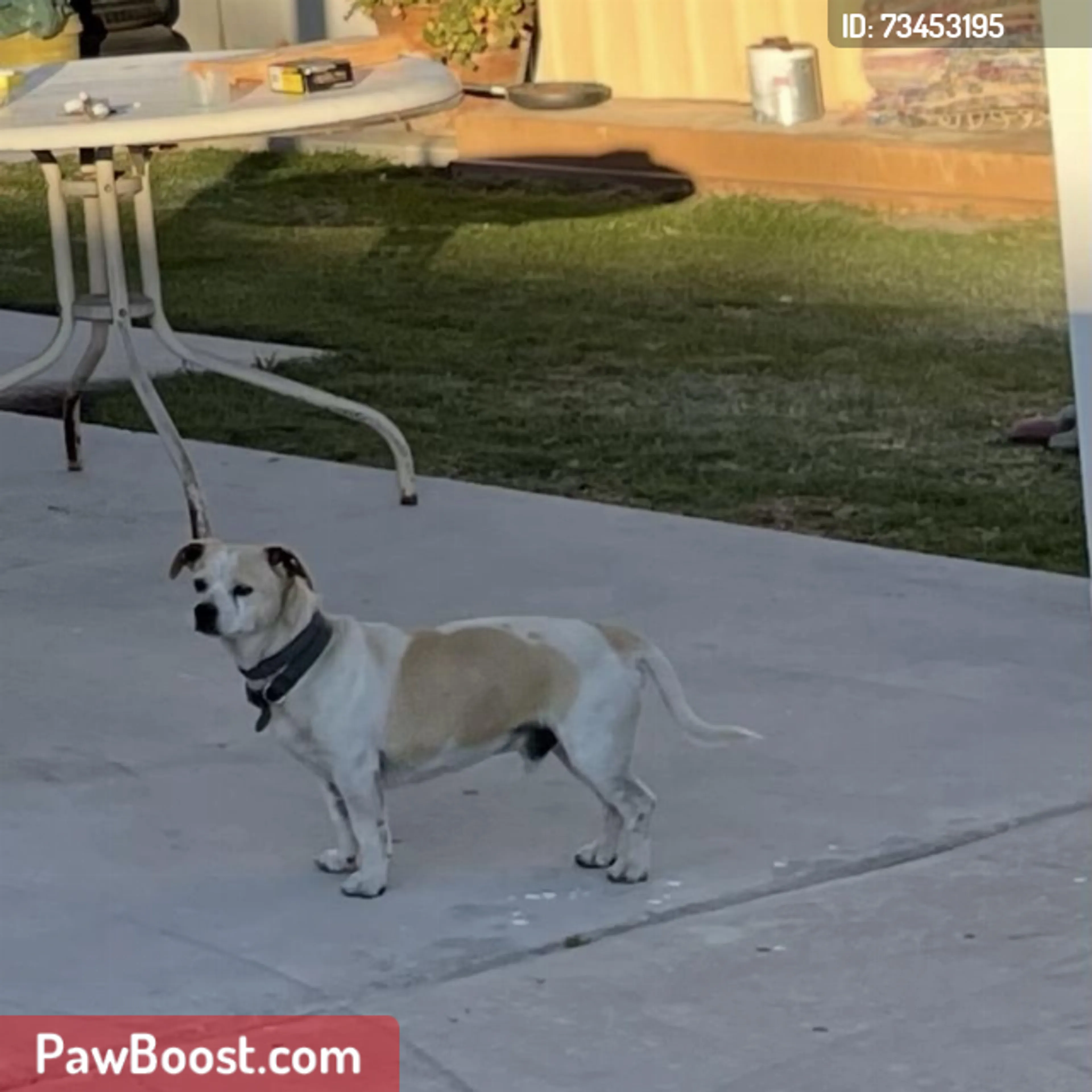 cdn image