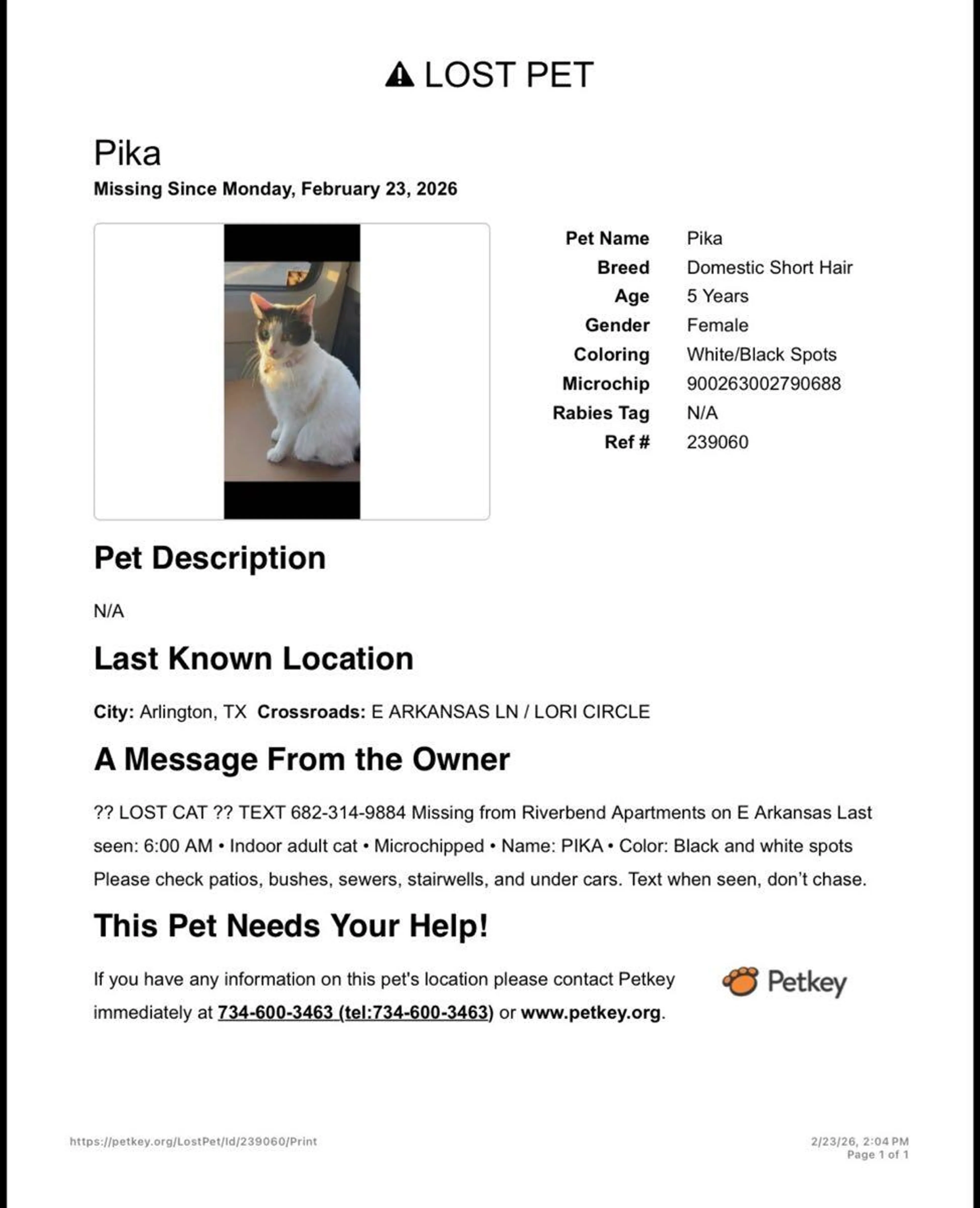 Lost pet