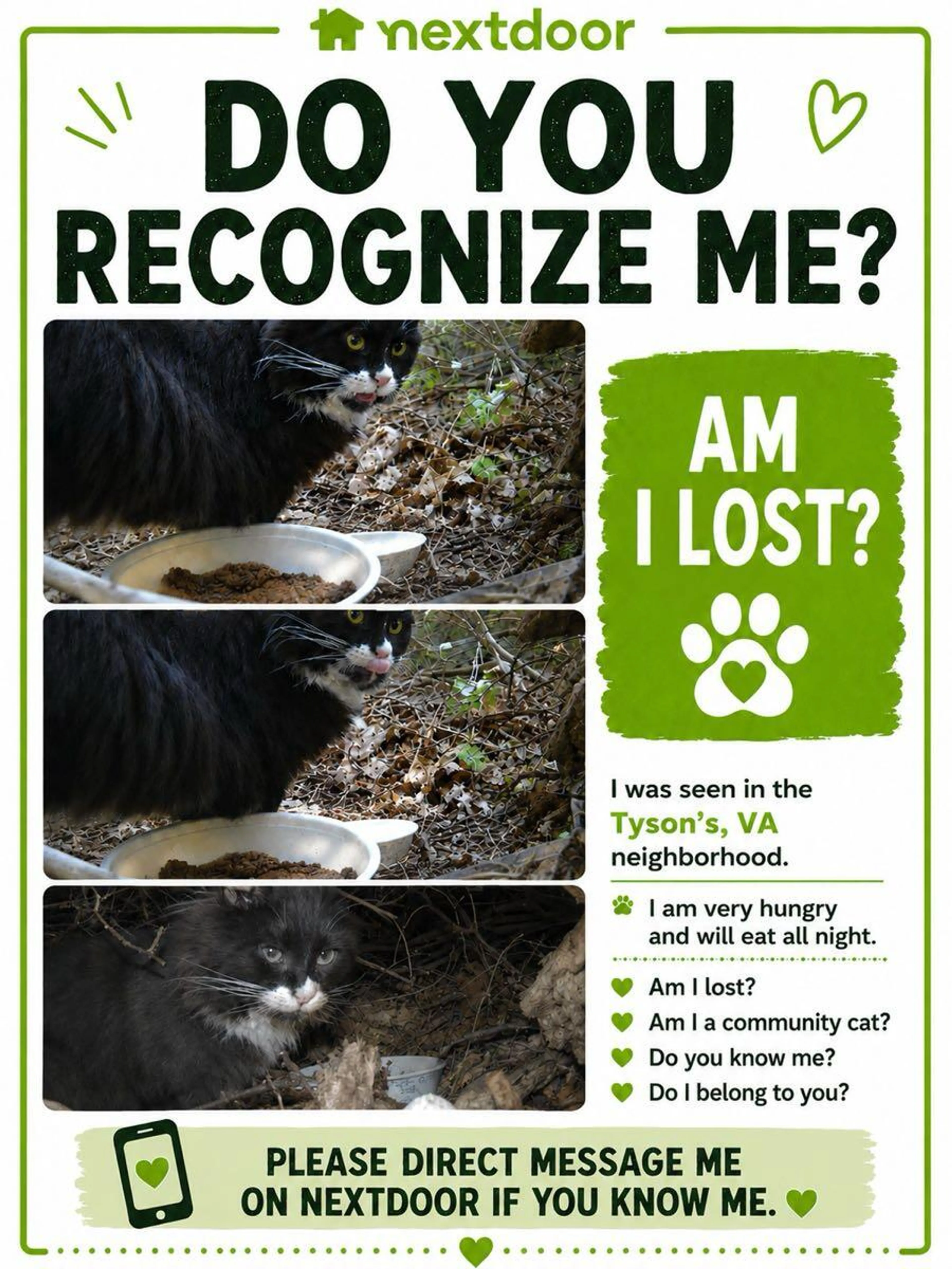 Found pet