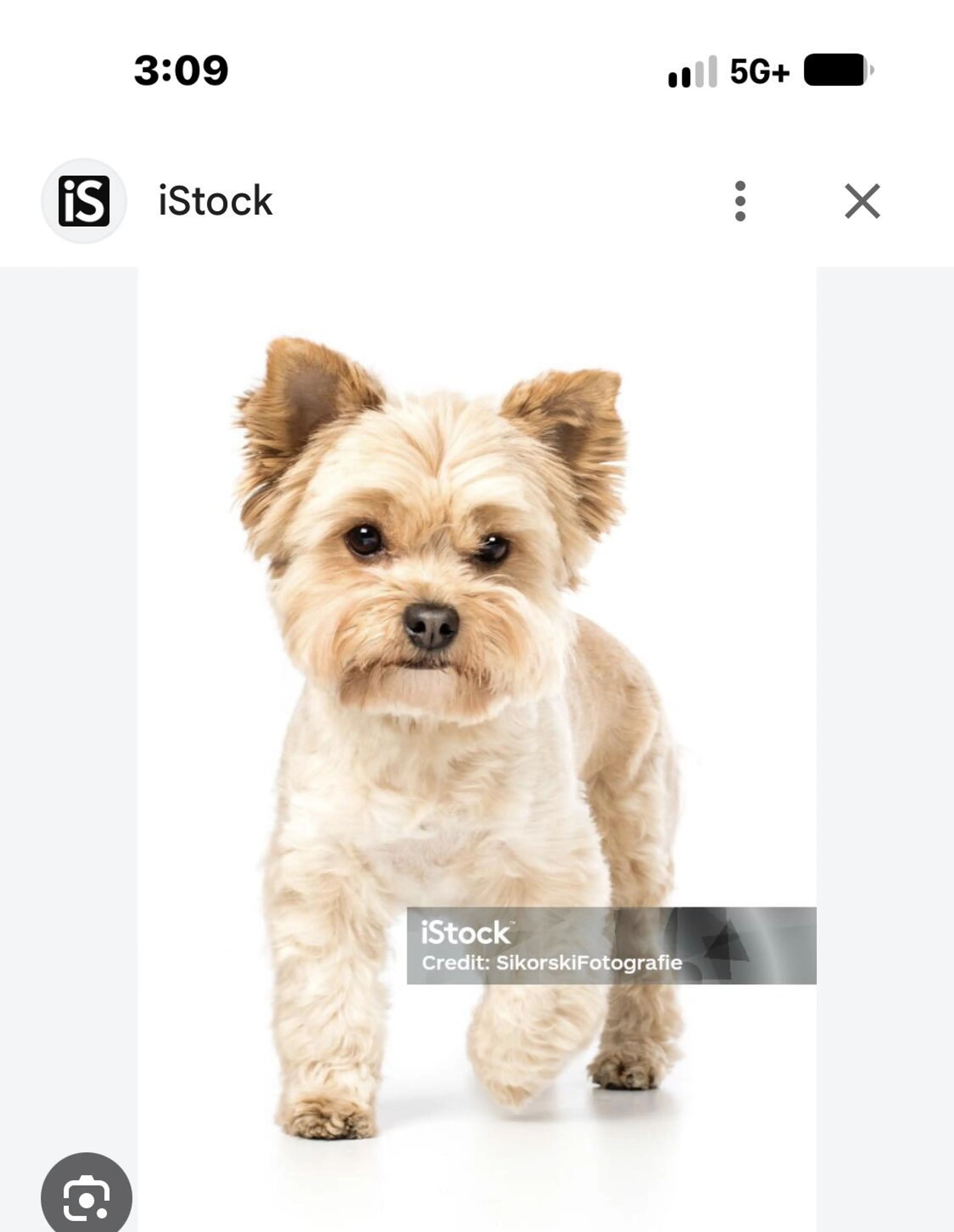 cdn image