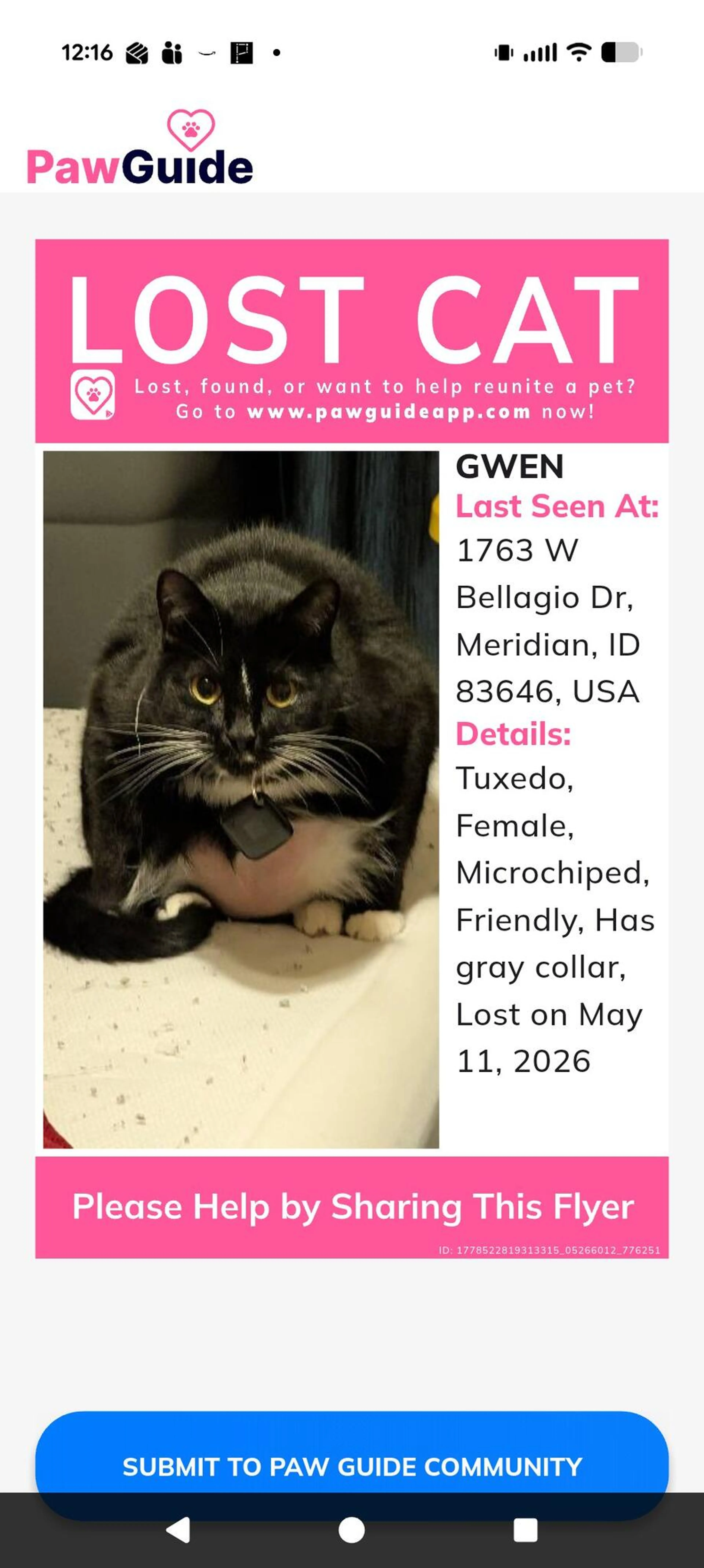 Lost pet