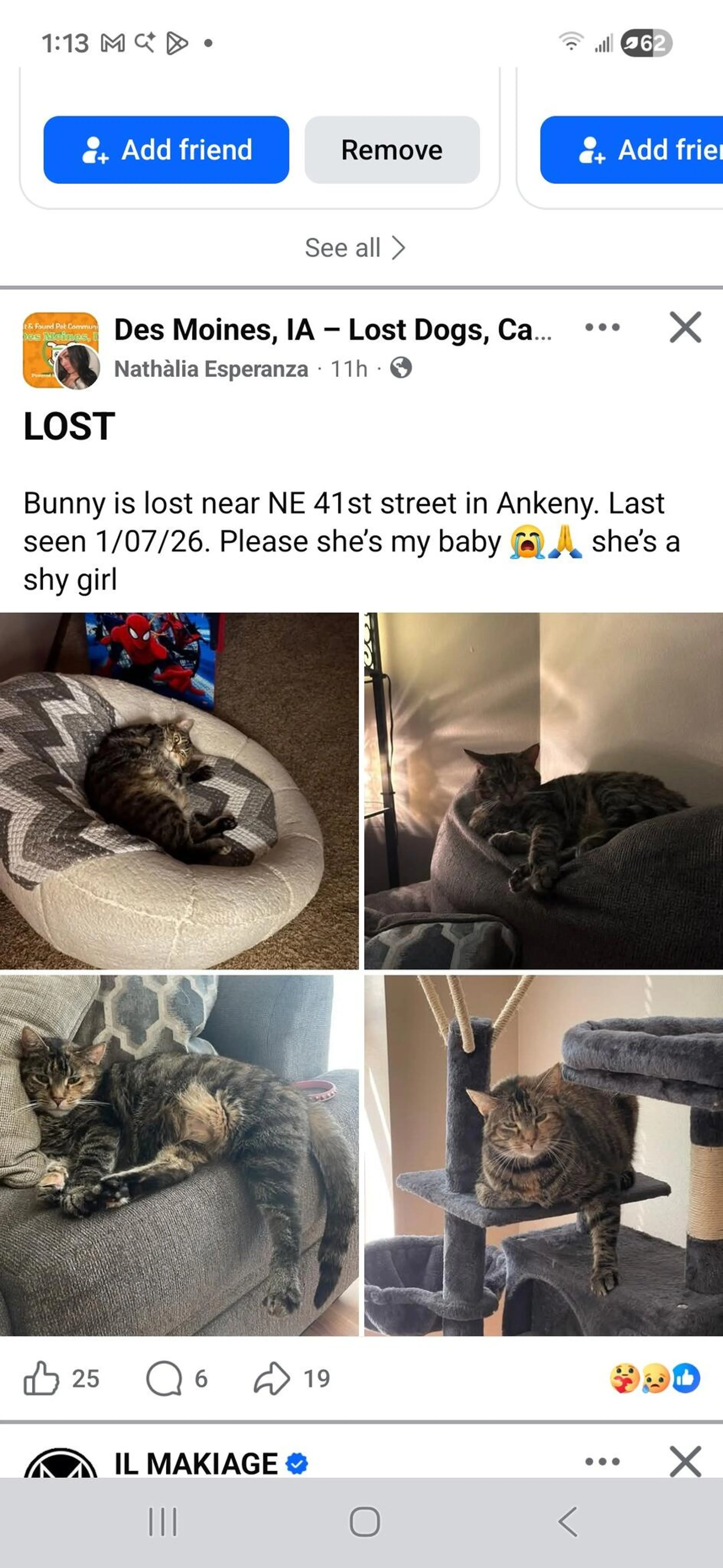 Lost pet