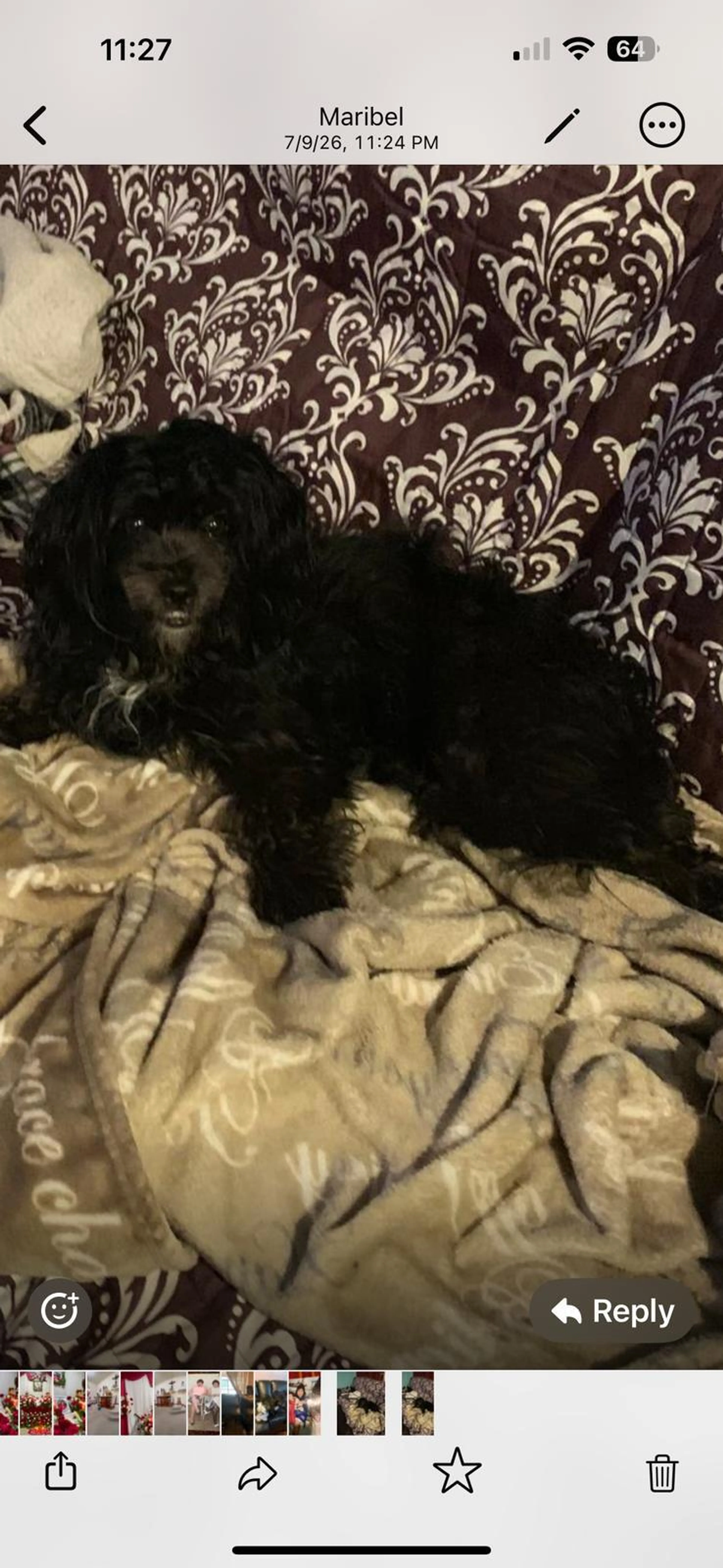 cdn image