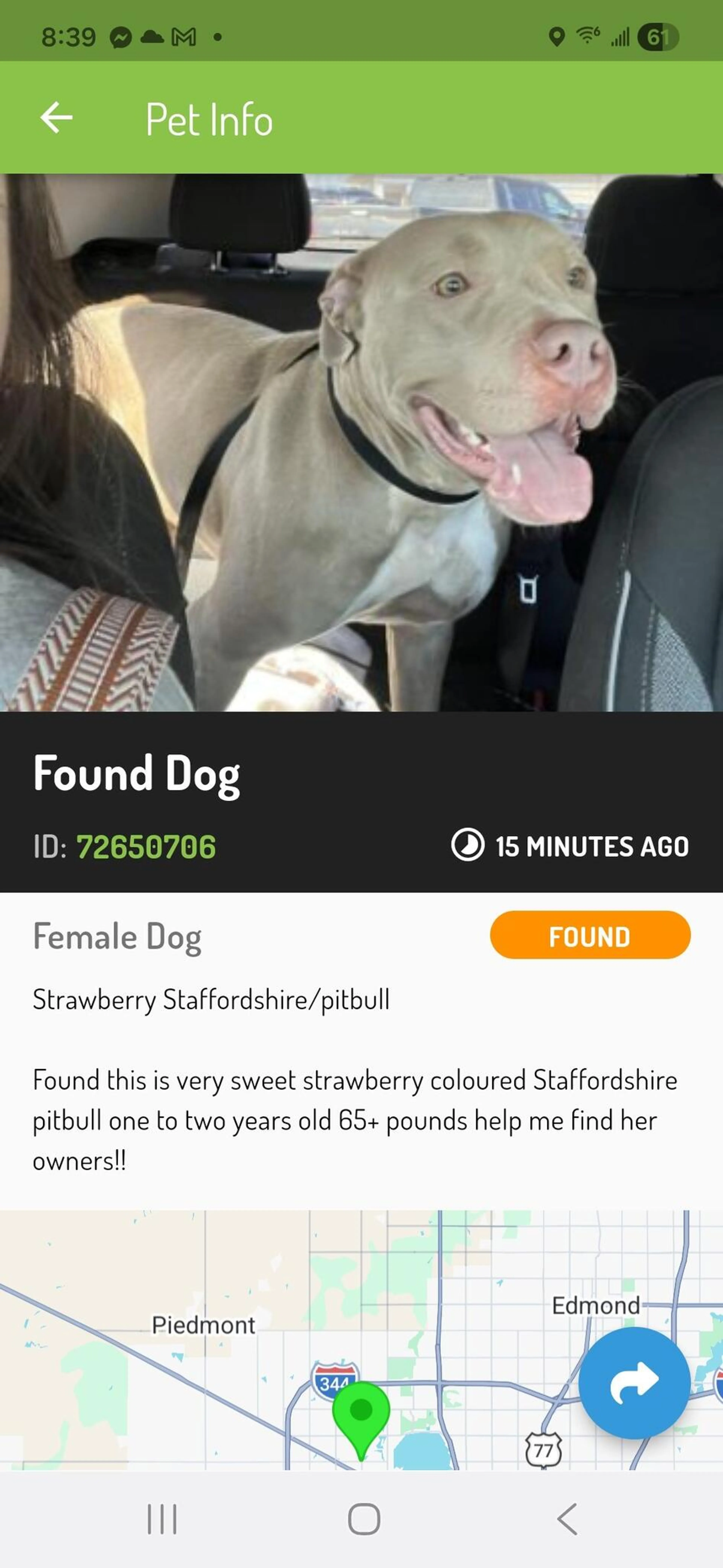 Found pet