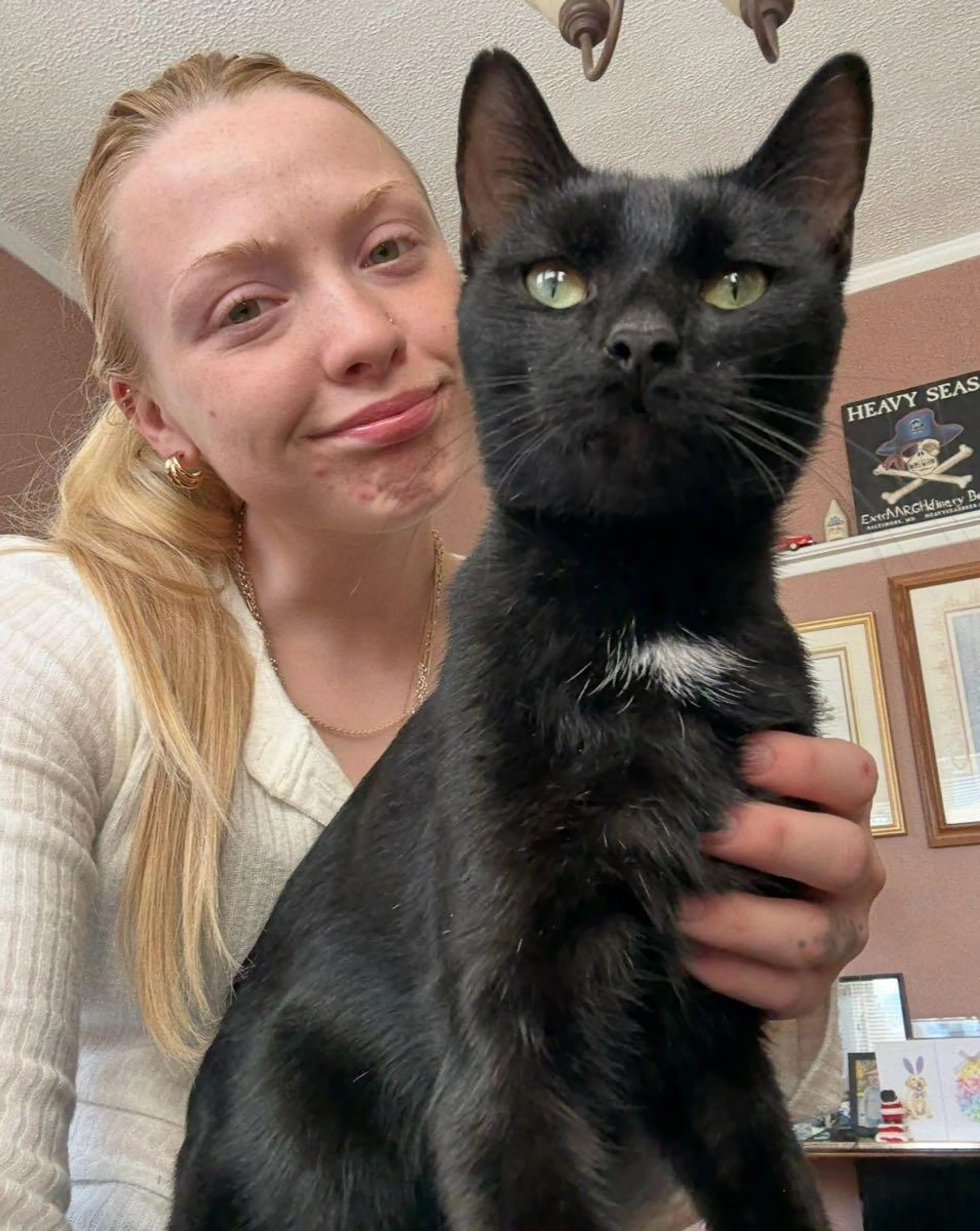 Lost pet