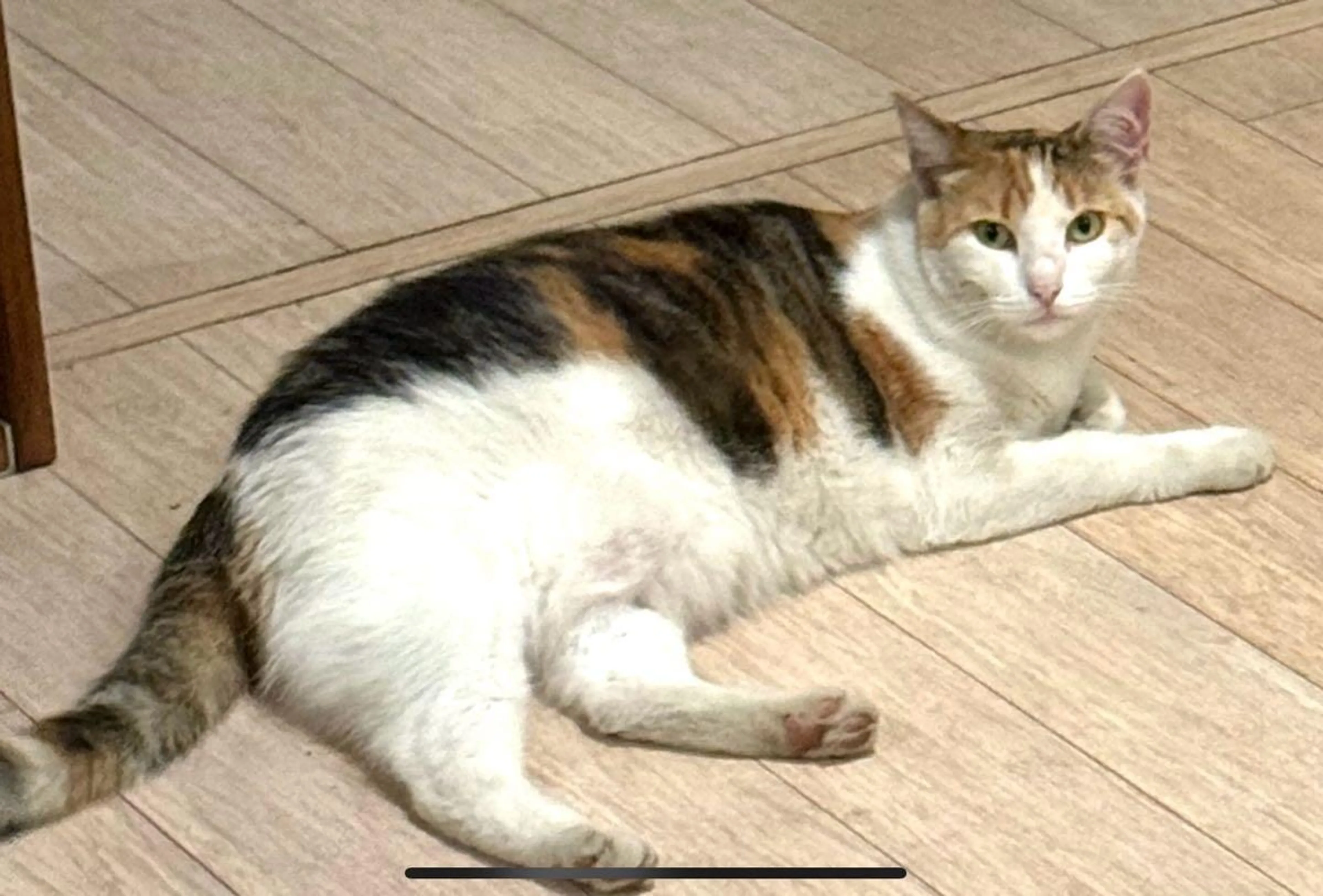 cdn image