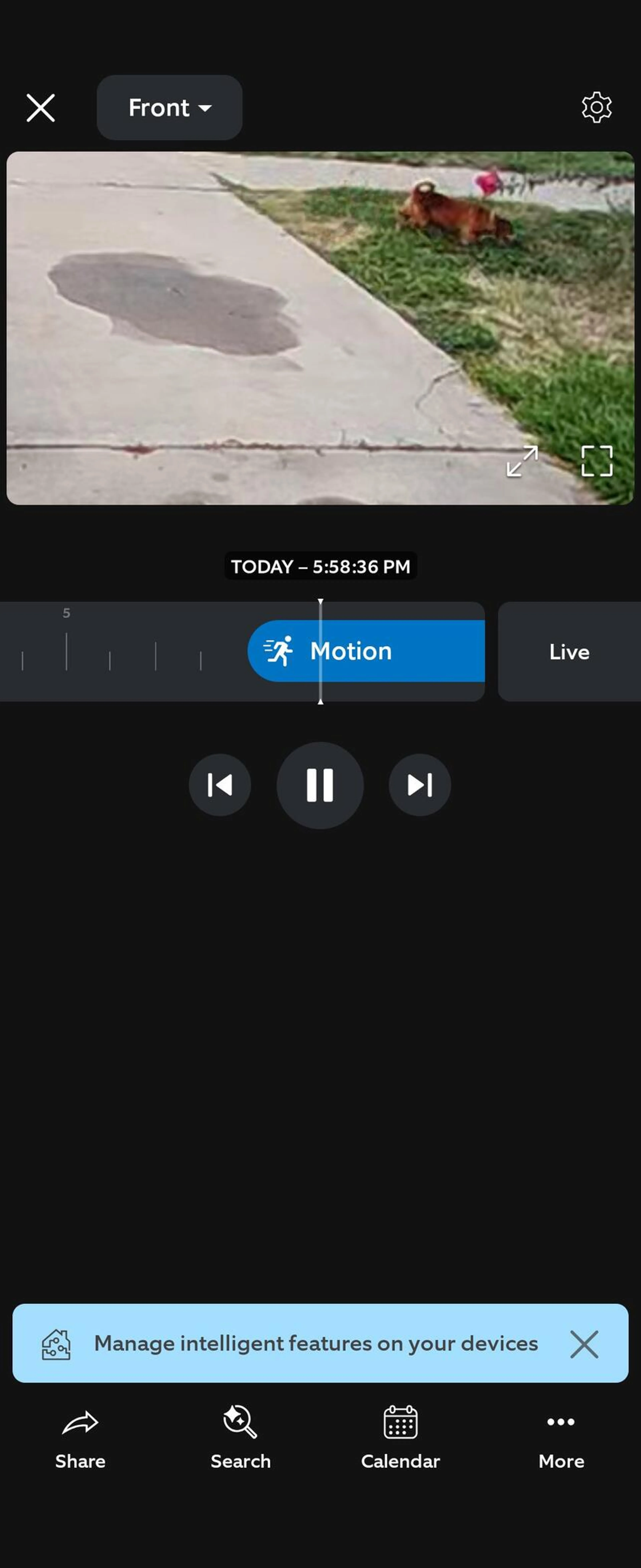 cdn image