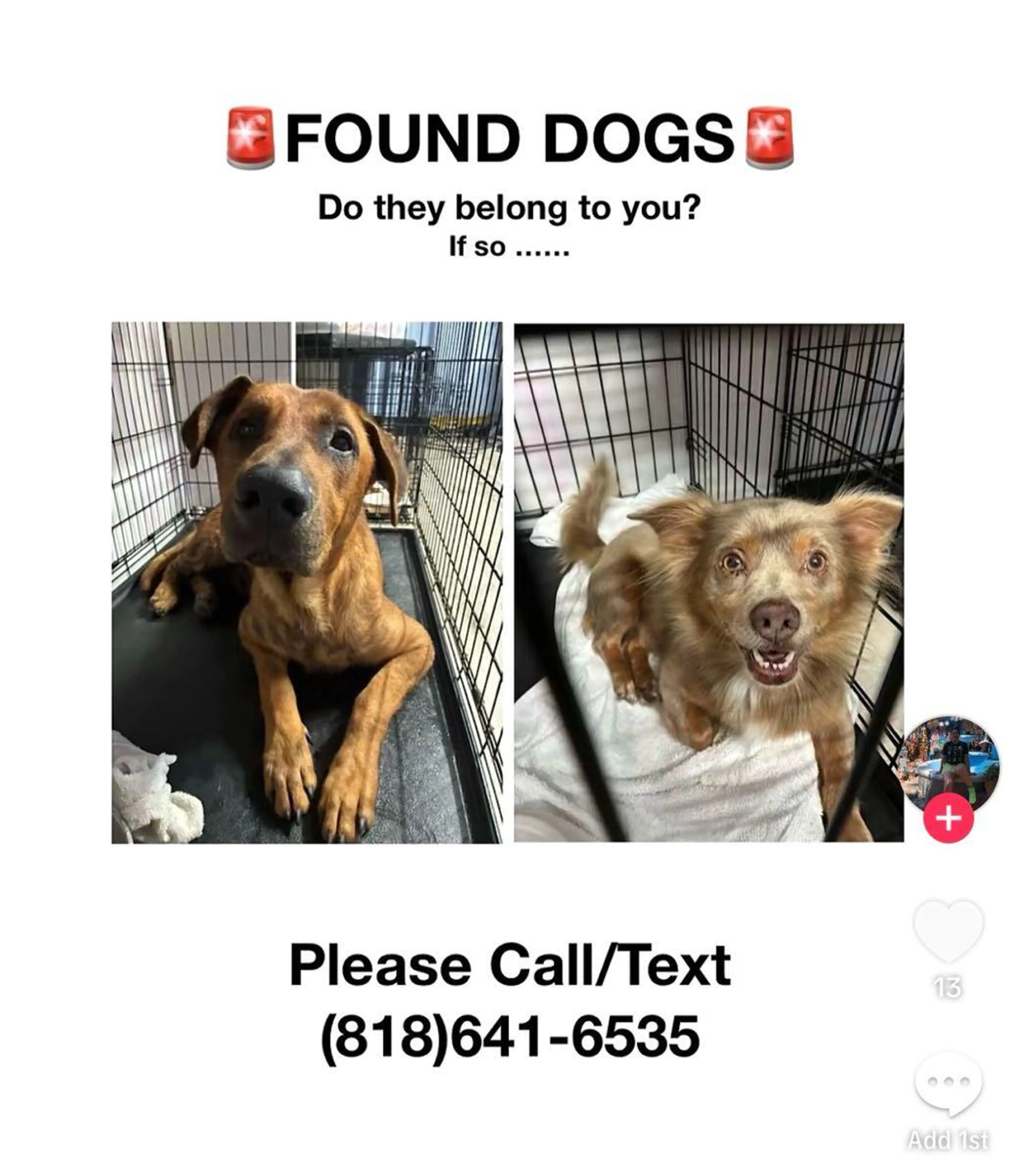 cdn image