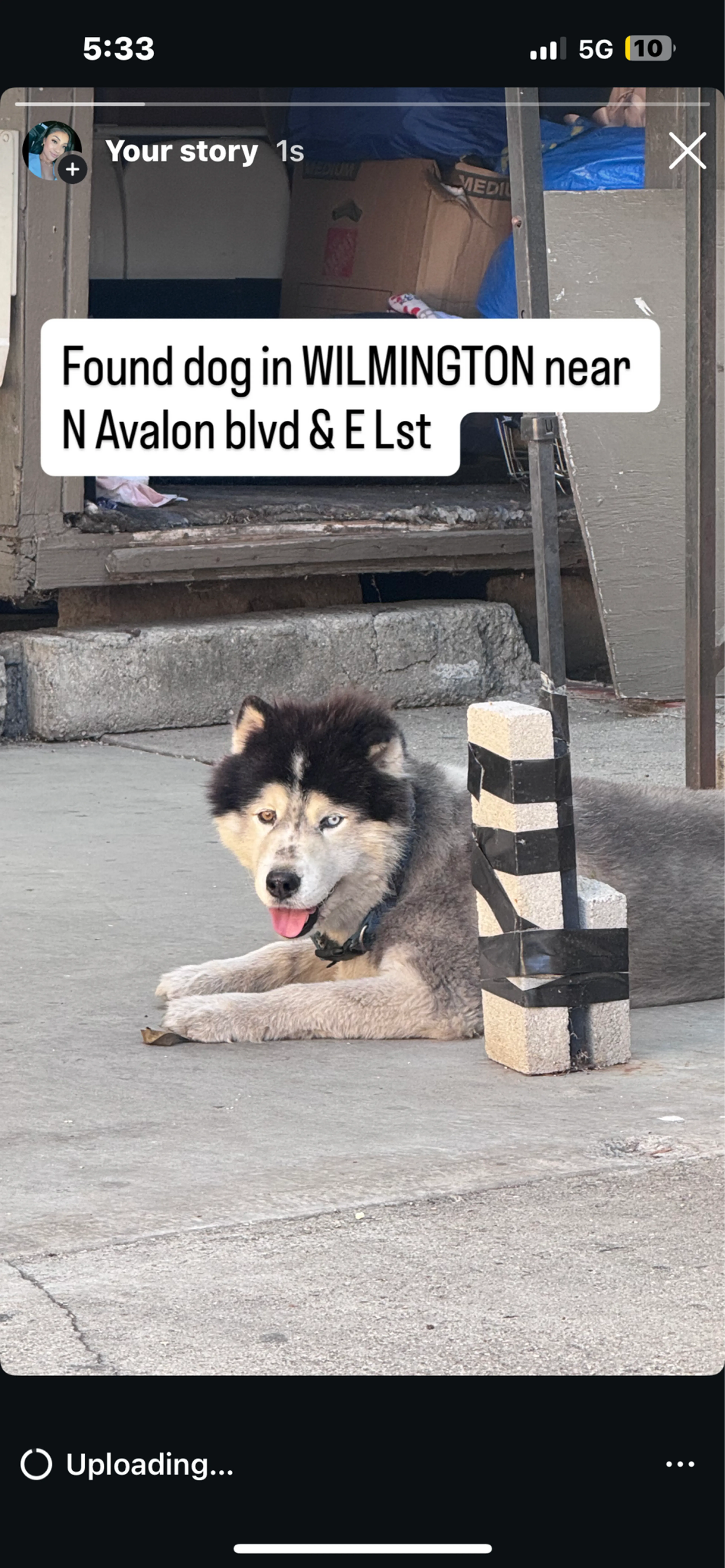 cdn image