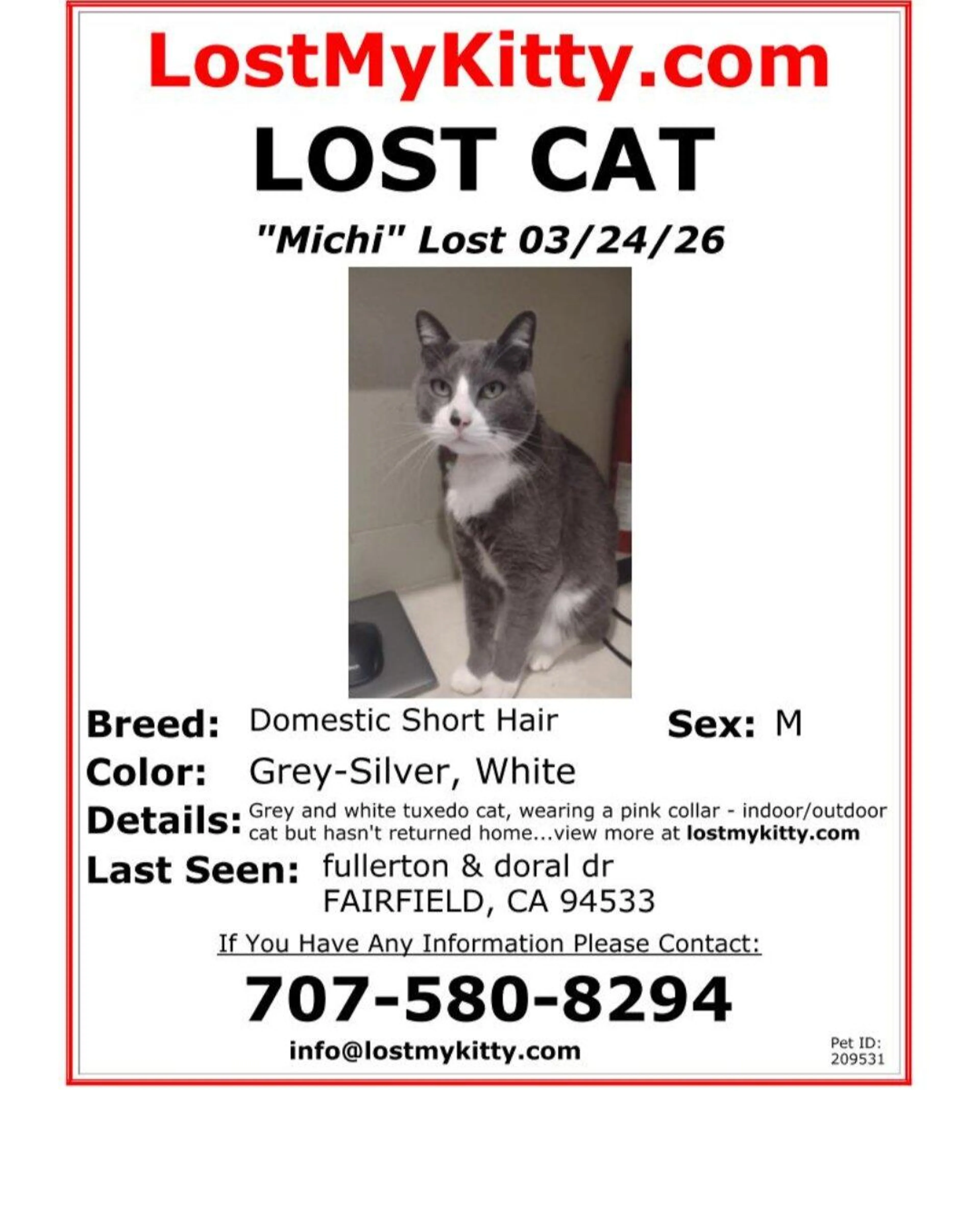 Lost pet