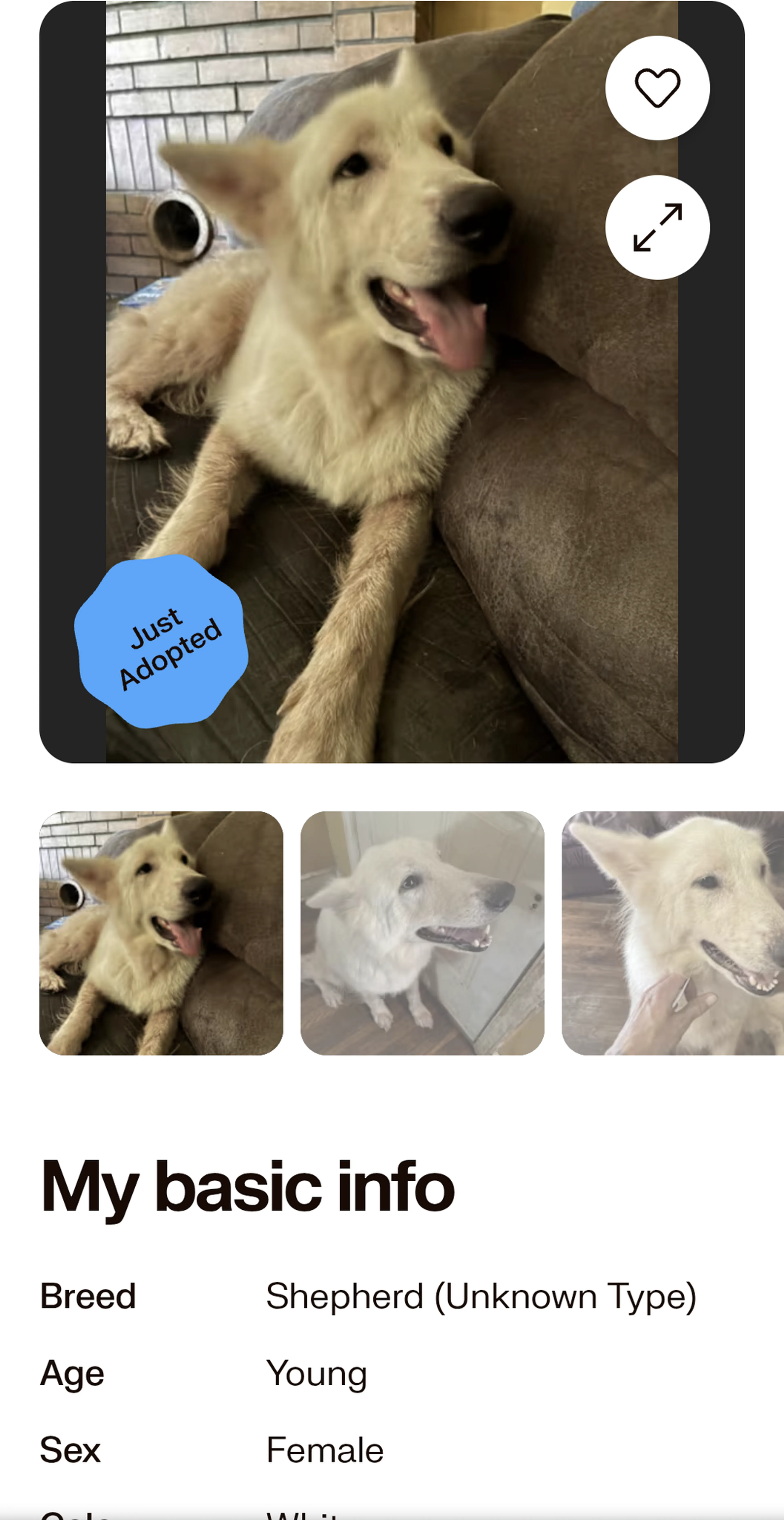 cdn image