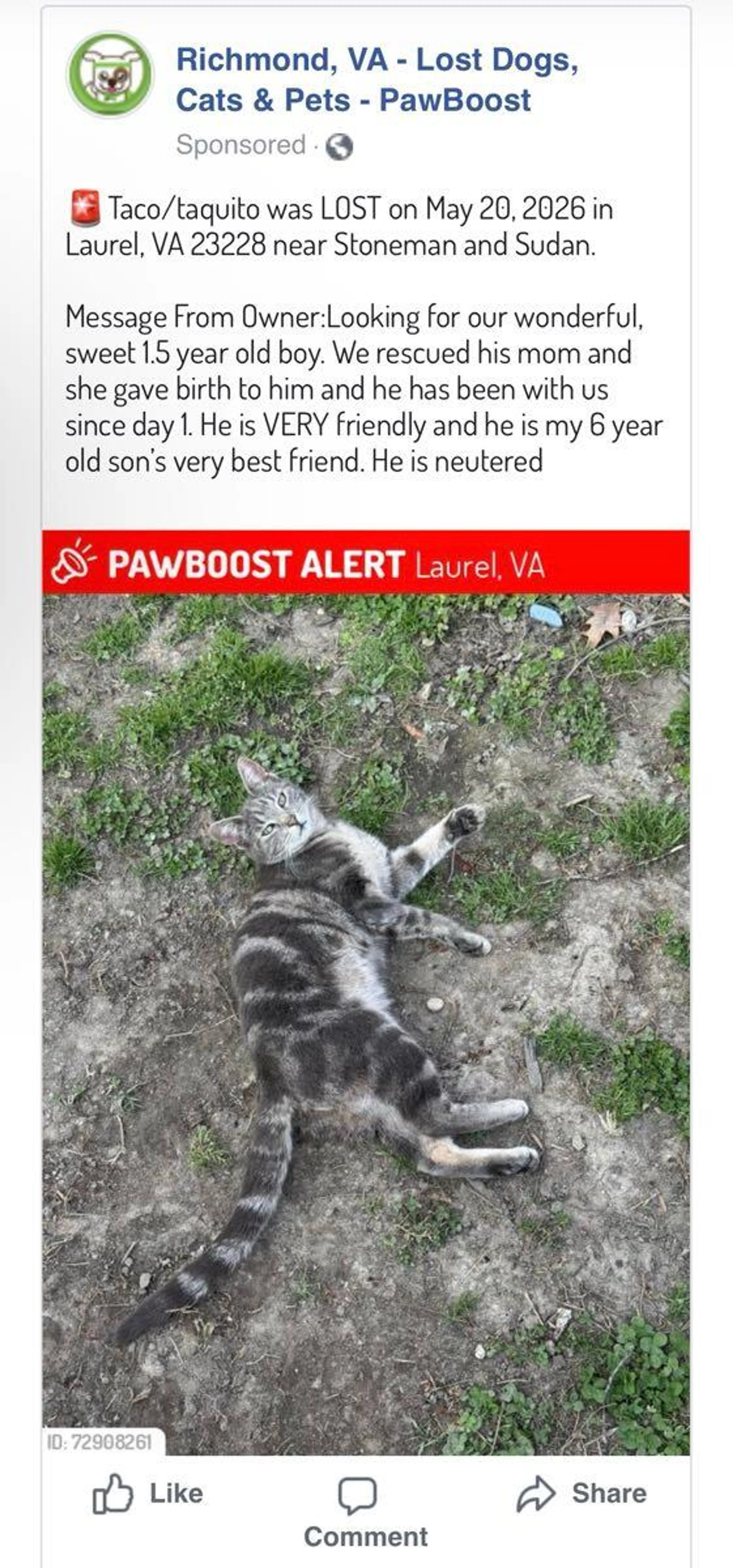 Lost pet