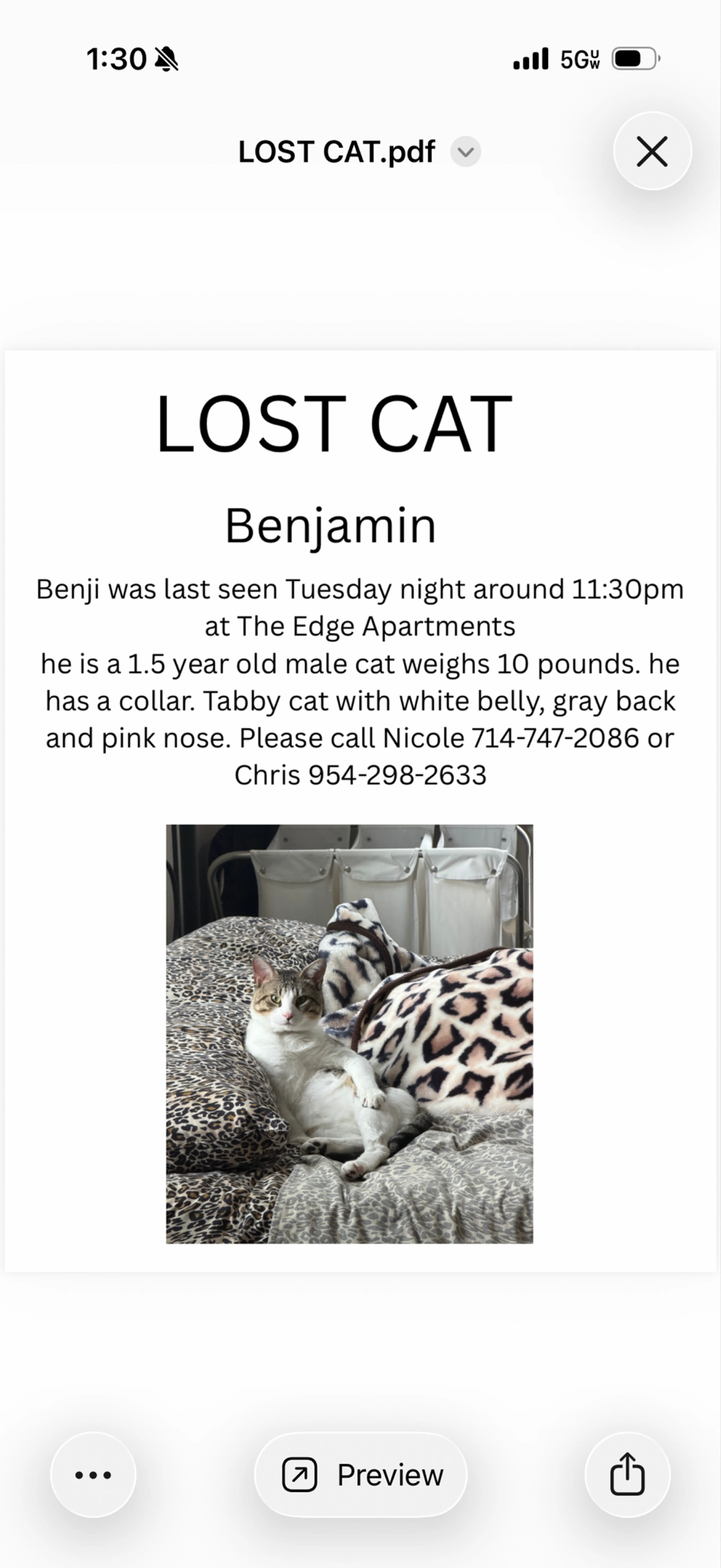 Lost pet