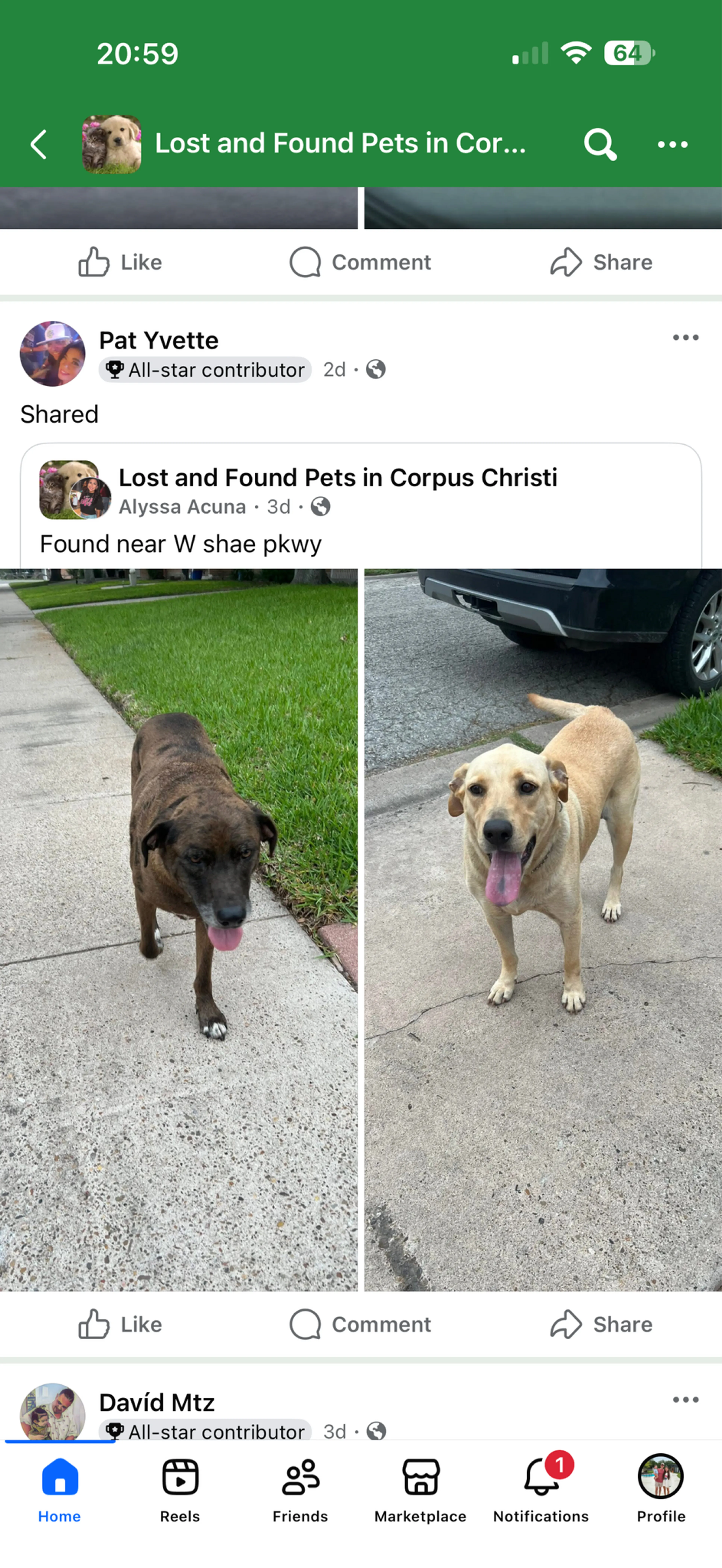 Found pet