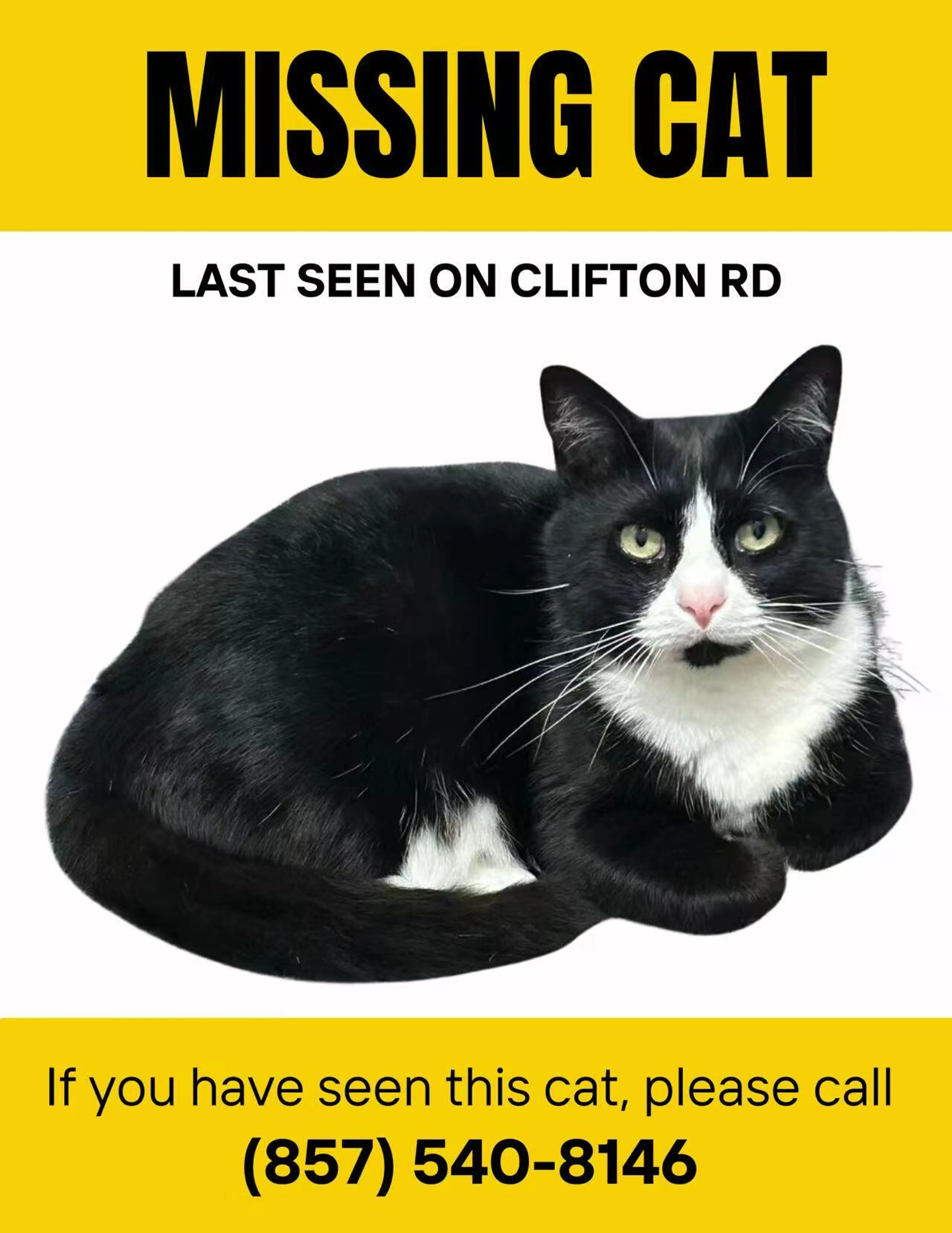 Lost pet