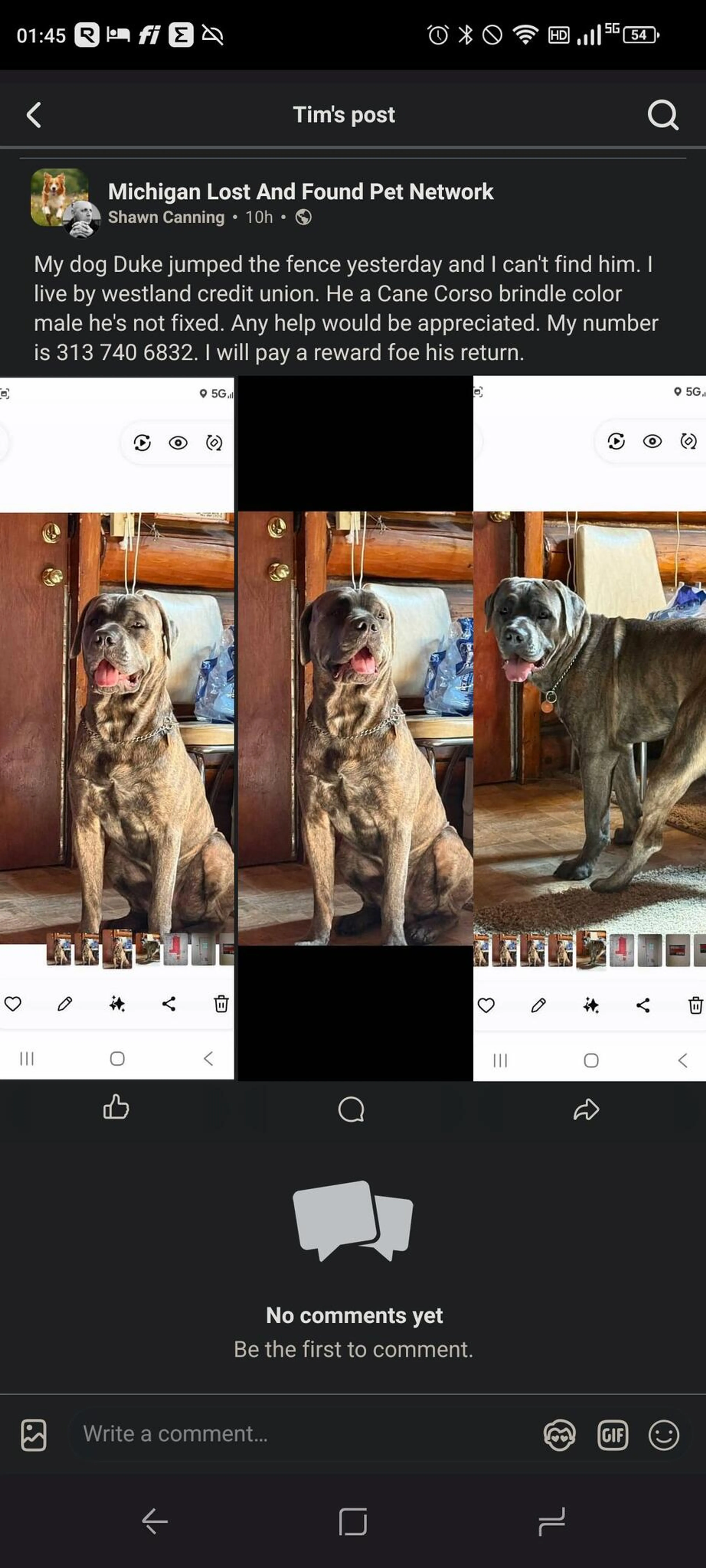 cdn image