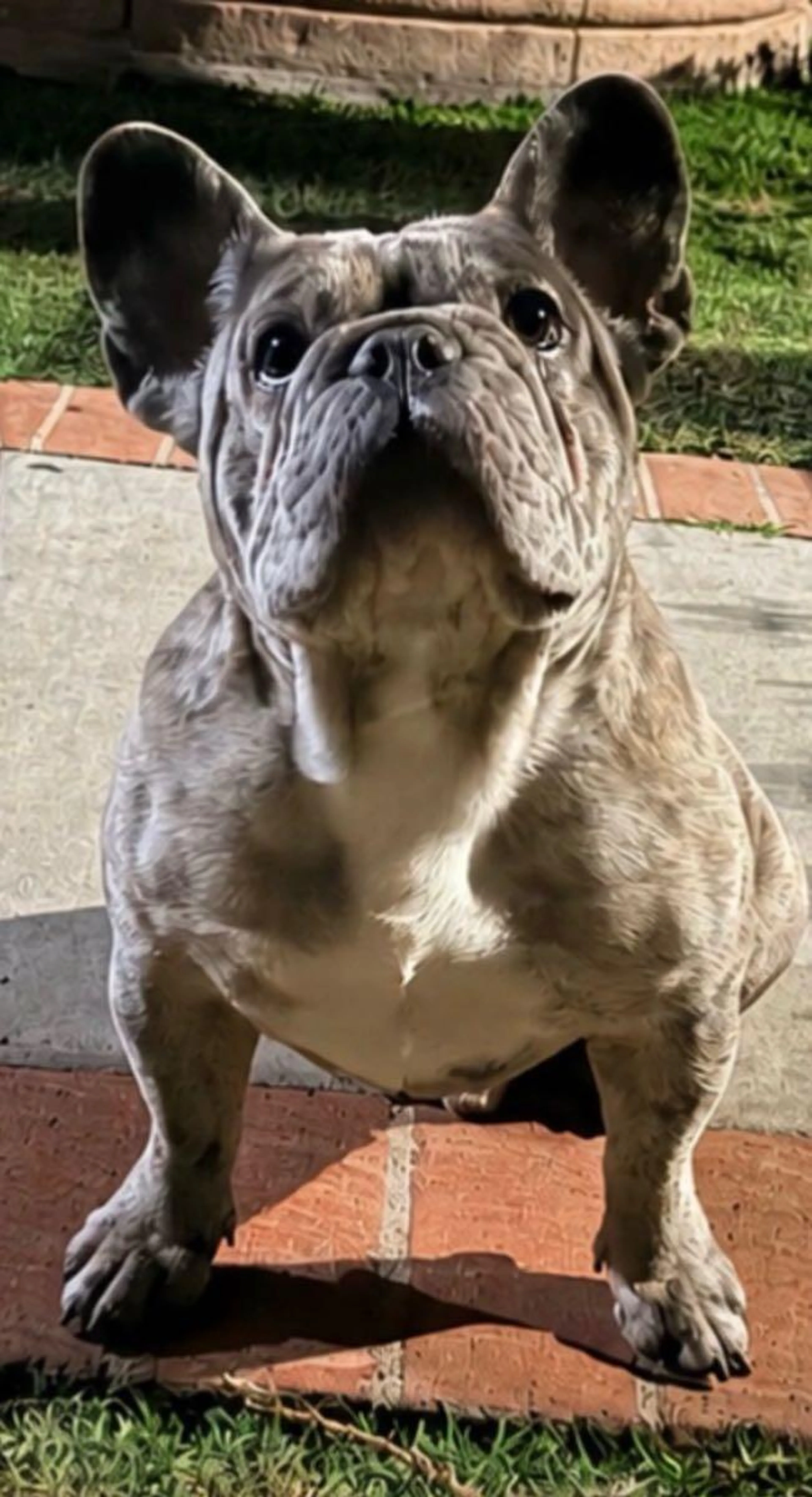 cdn image