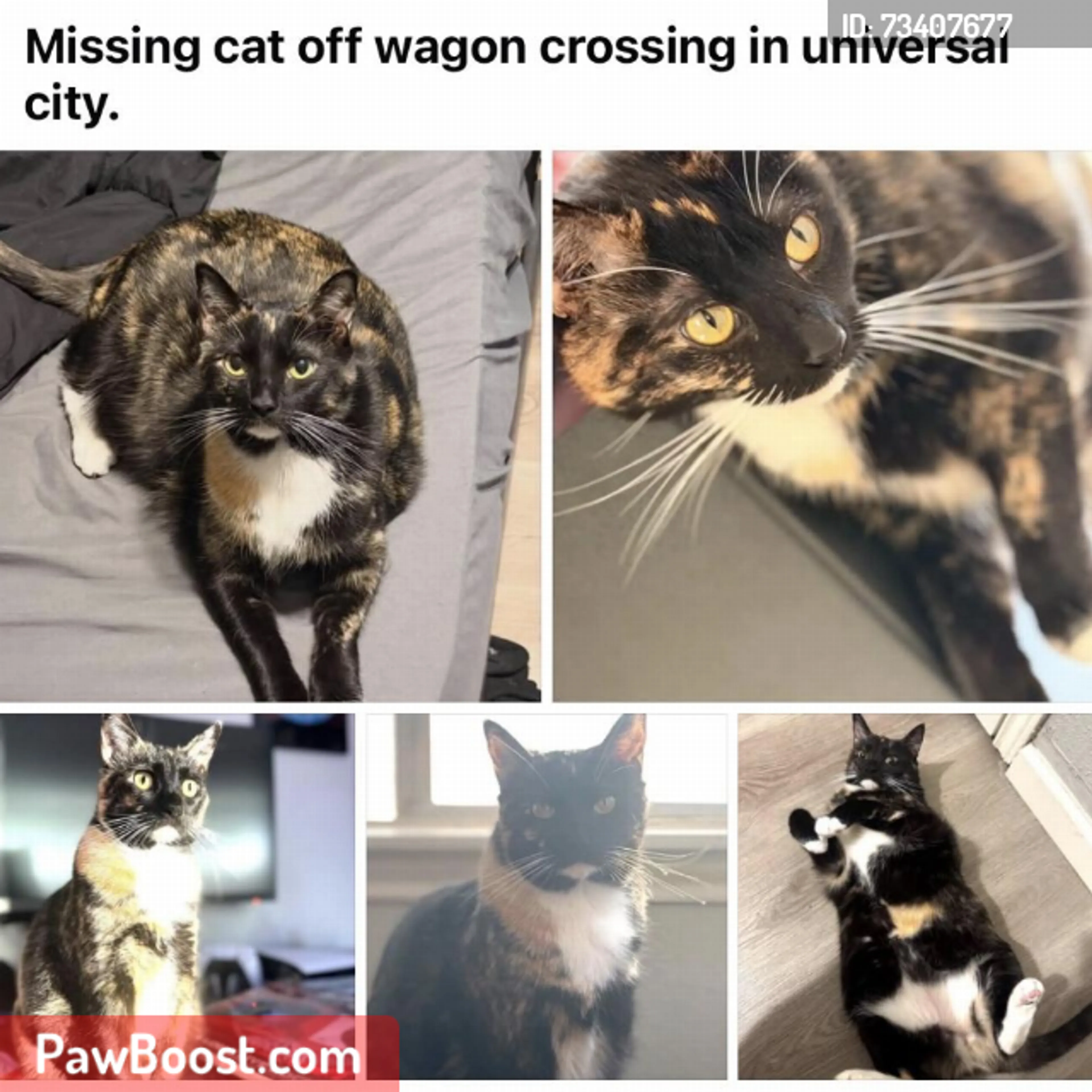 cdn image