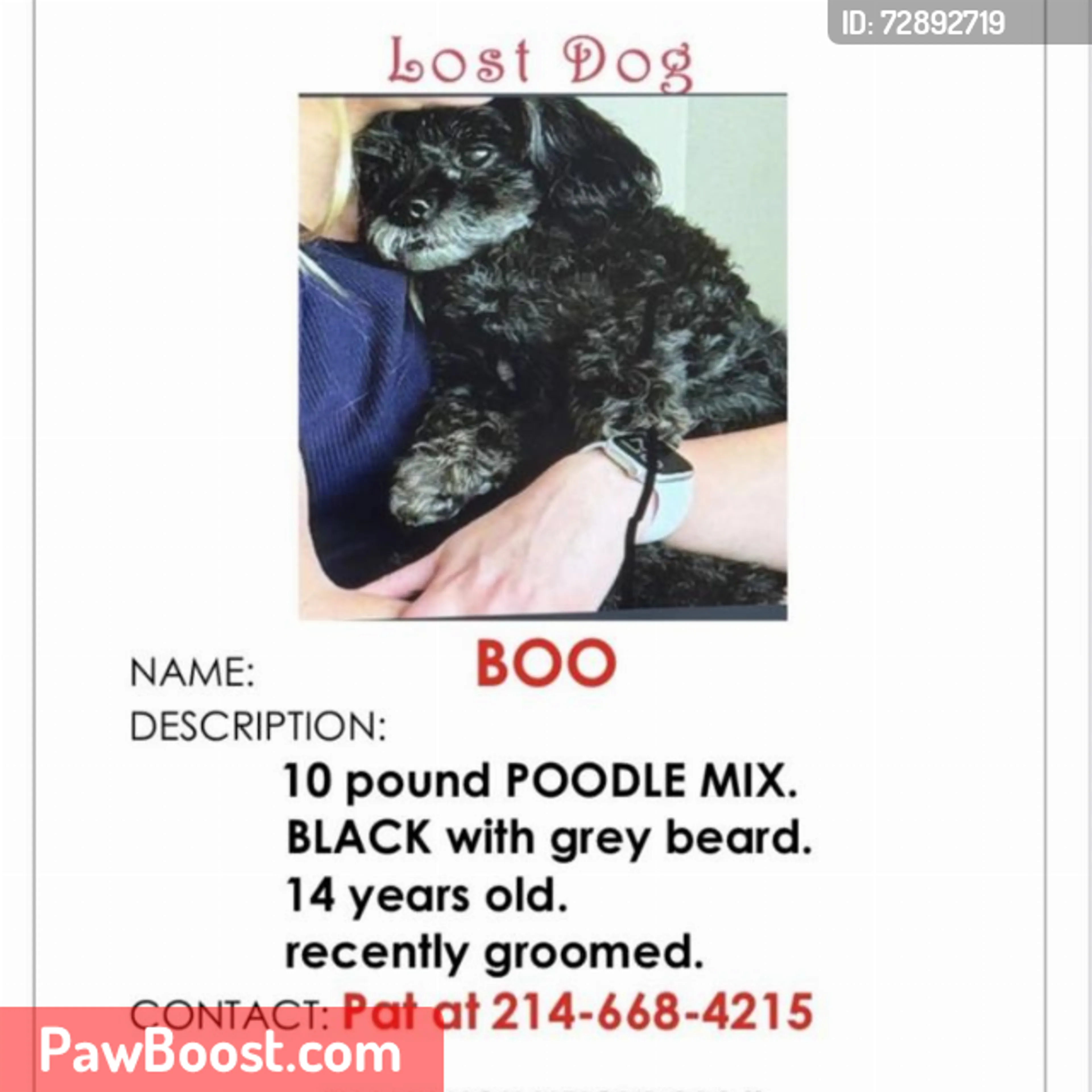 Lost pet