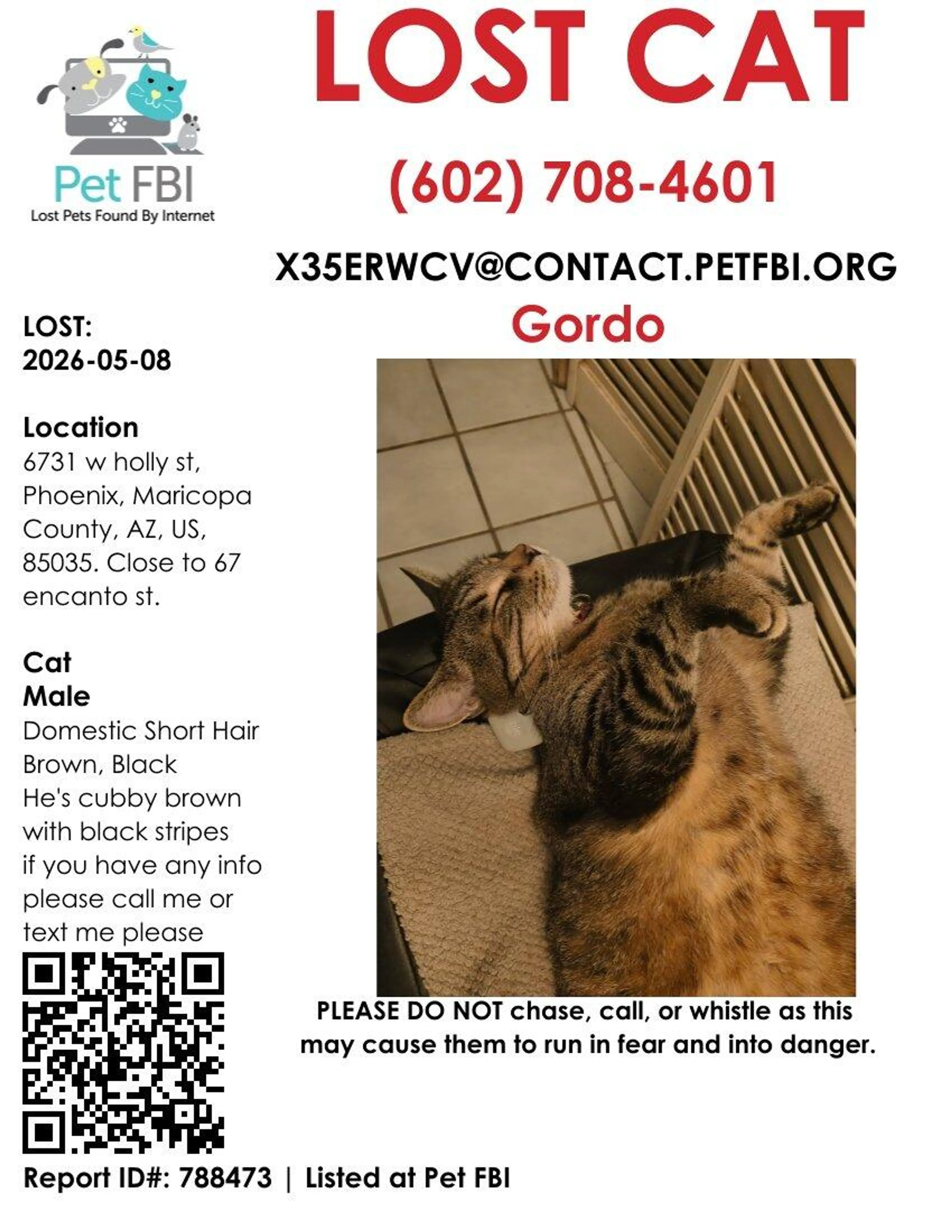 Lost pet